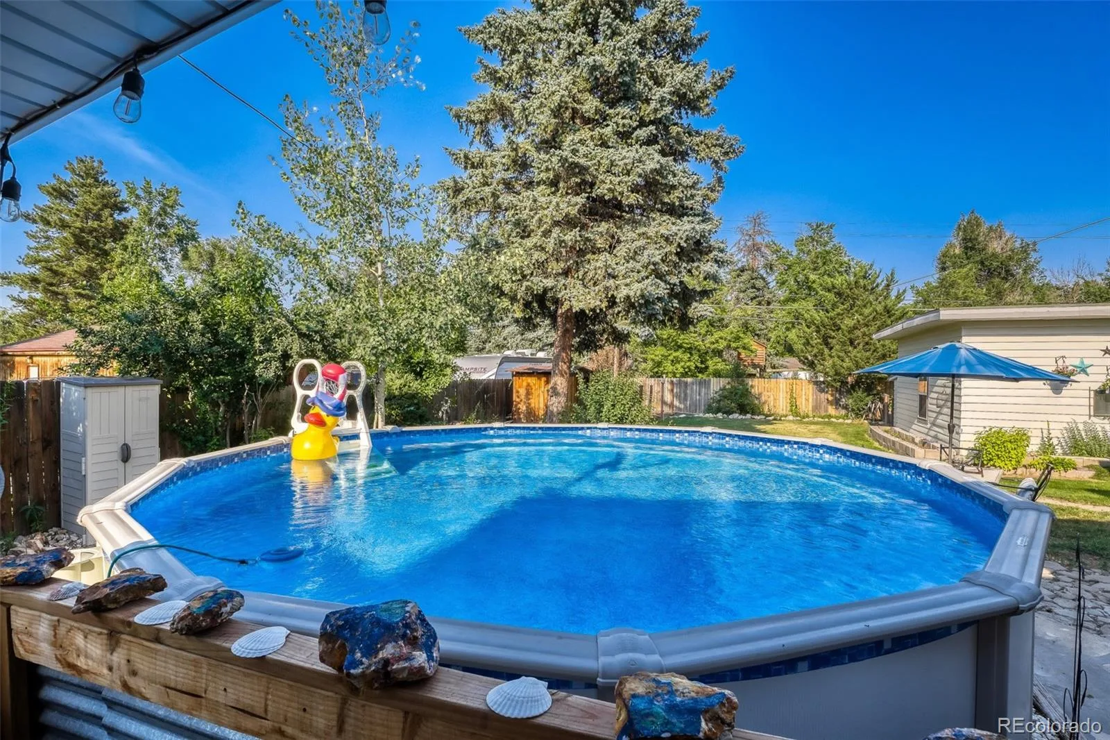 450 Garland Street Lakewood CO 80226 MLS #REC7324373 07022026011644 1600 24