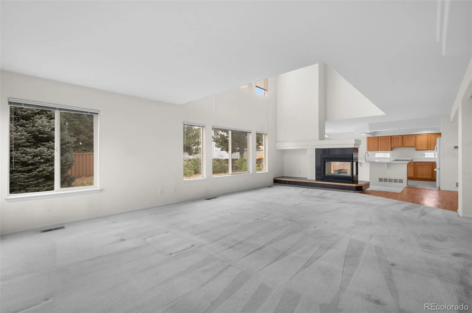 20331 E 47th Place Denver CO 80249 MLS #REC7328990 05012026172933 1600 10