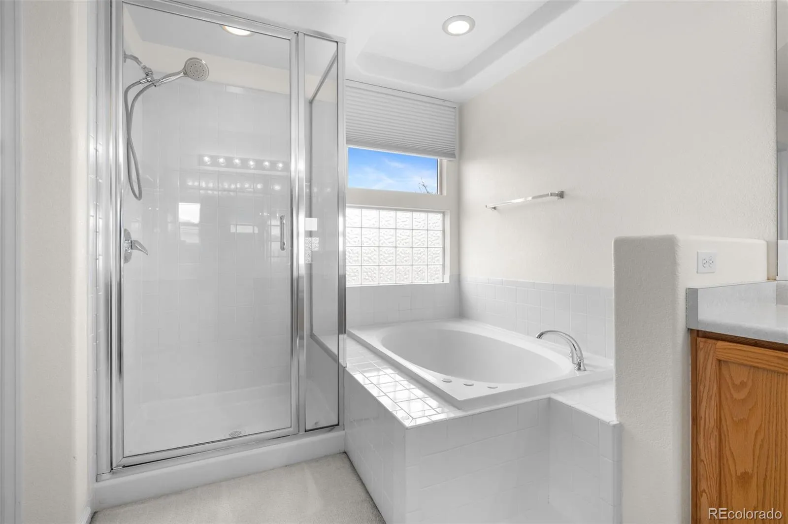 20331 E 47th Place Denver CO 80249 MLS #REC7328990 05012026172933 1600 23