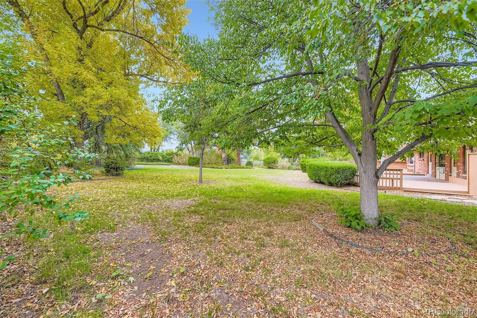 5980 W Milan Place Denver CO 80235 MLS #REC7332821 05252026153437 1600 24