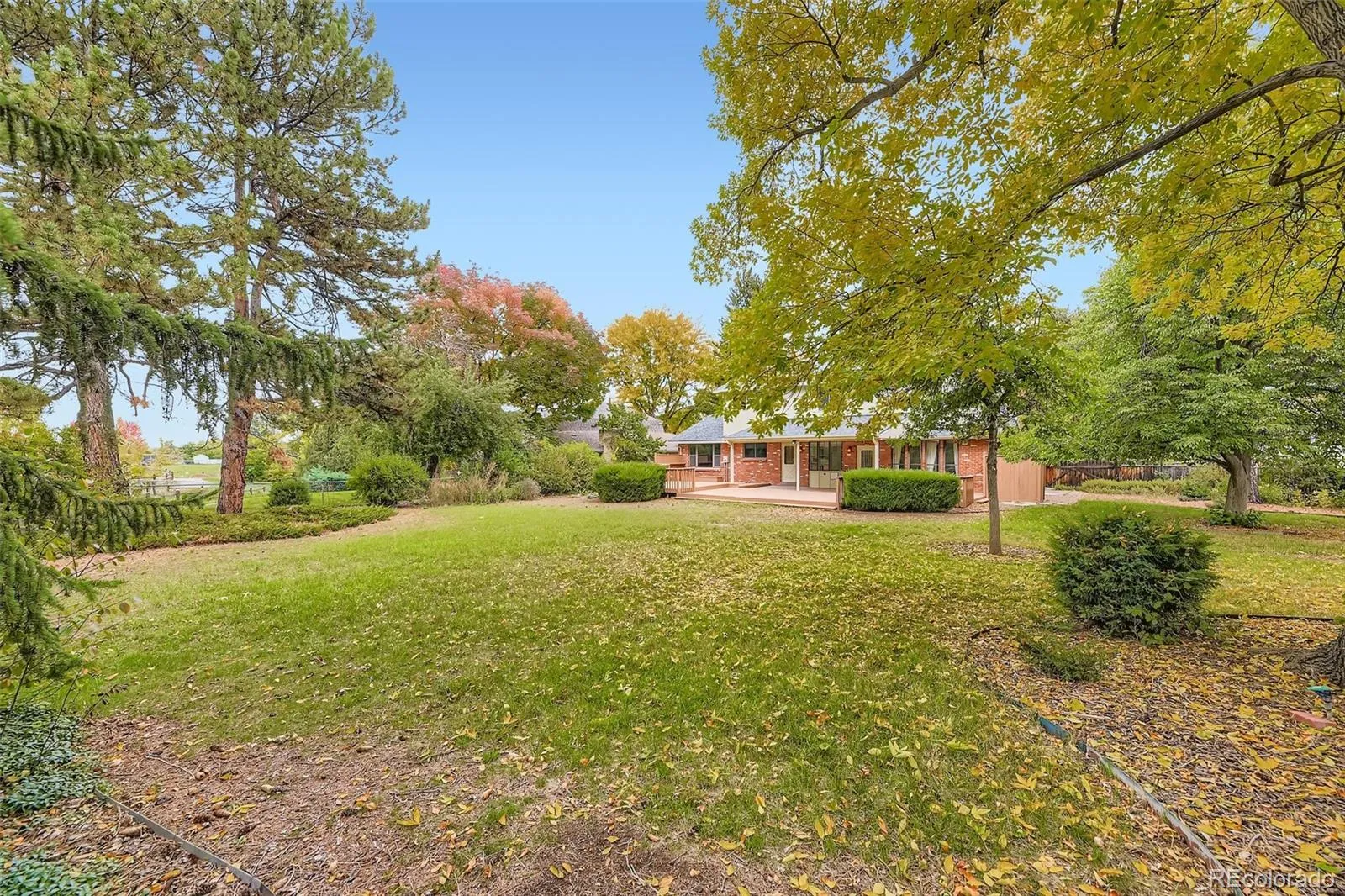 5980 W Milan Place Denver CO 80235 MLS #REC7332821 05252026153437 1600 25