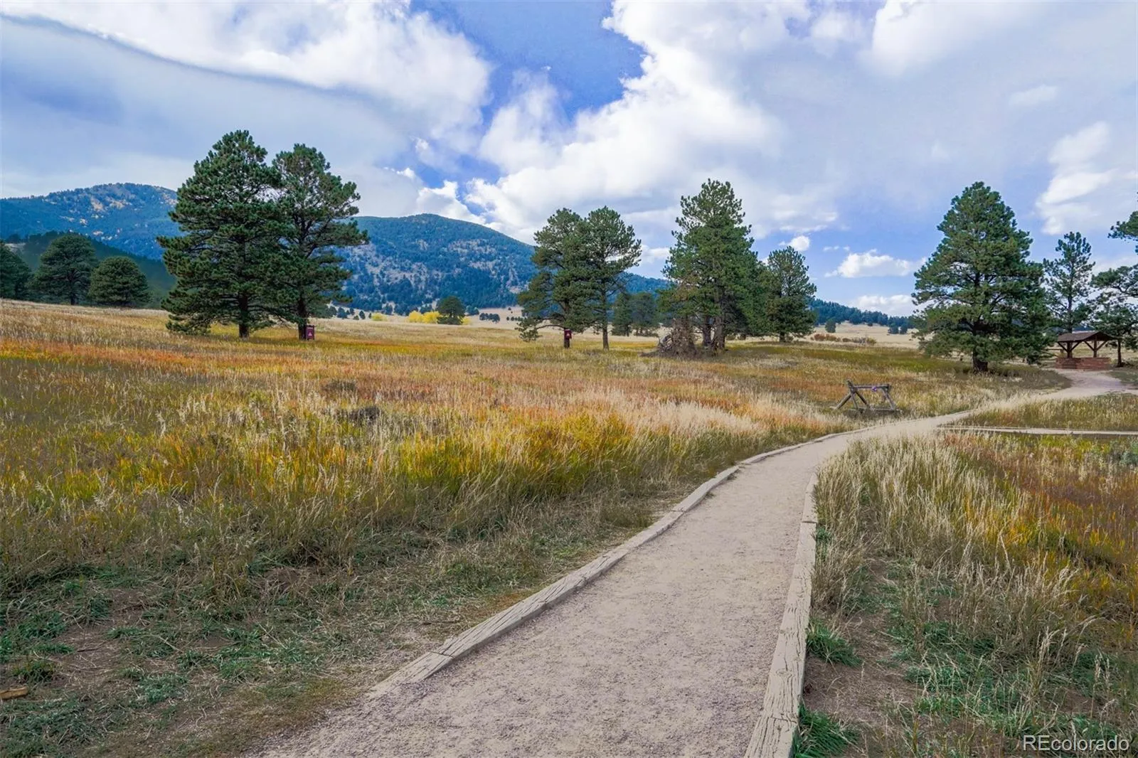 30591 Sun Creek Drive #13E Evergreen CO 80439 | MLS #REC7342519 05022026201026 1600 41