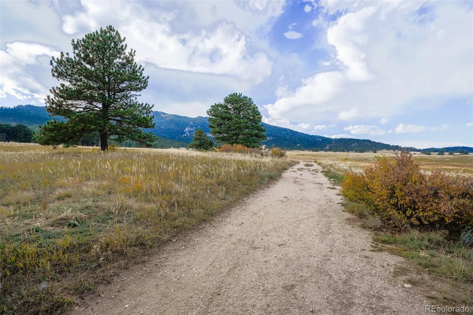30591 Sun Creek Drive #13E Evergreen CO 80439 | MLS #REC7342519 05022026201026 1600 42