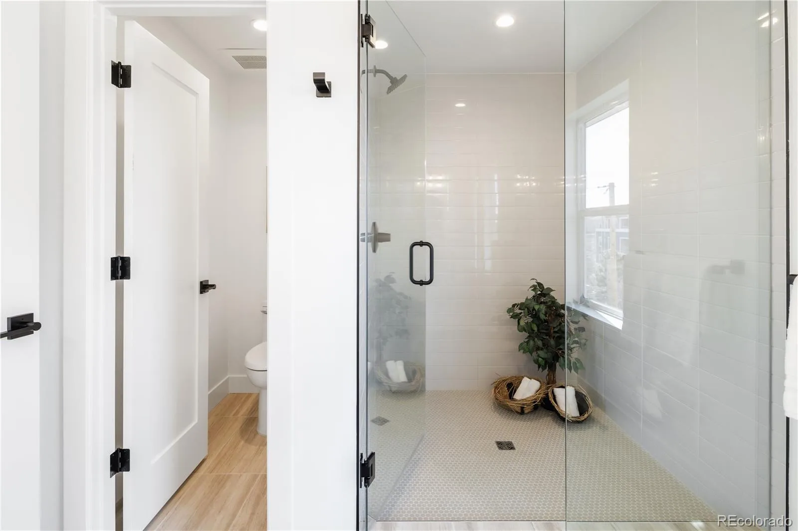 4650-4656 W 9th Avenue Denver CO 80204 | MLS #REC7344046 07162026224407 1600 19