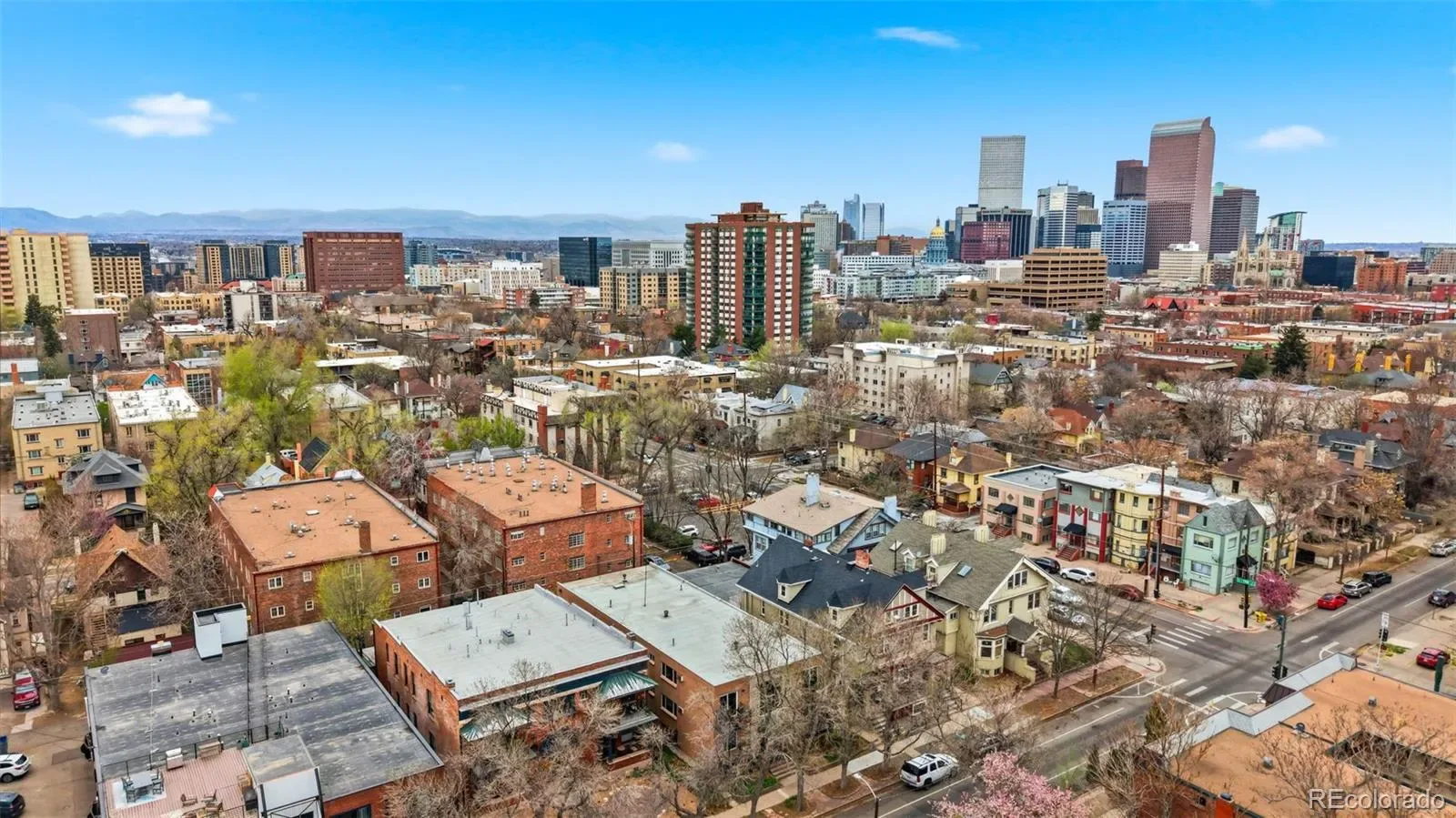 1063 N Clarkson Street #8 Denver CO 80218 MLS #REC7352569 03312026140657 1600 16