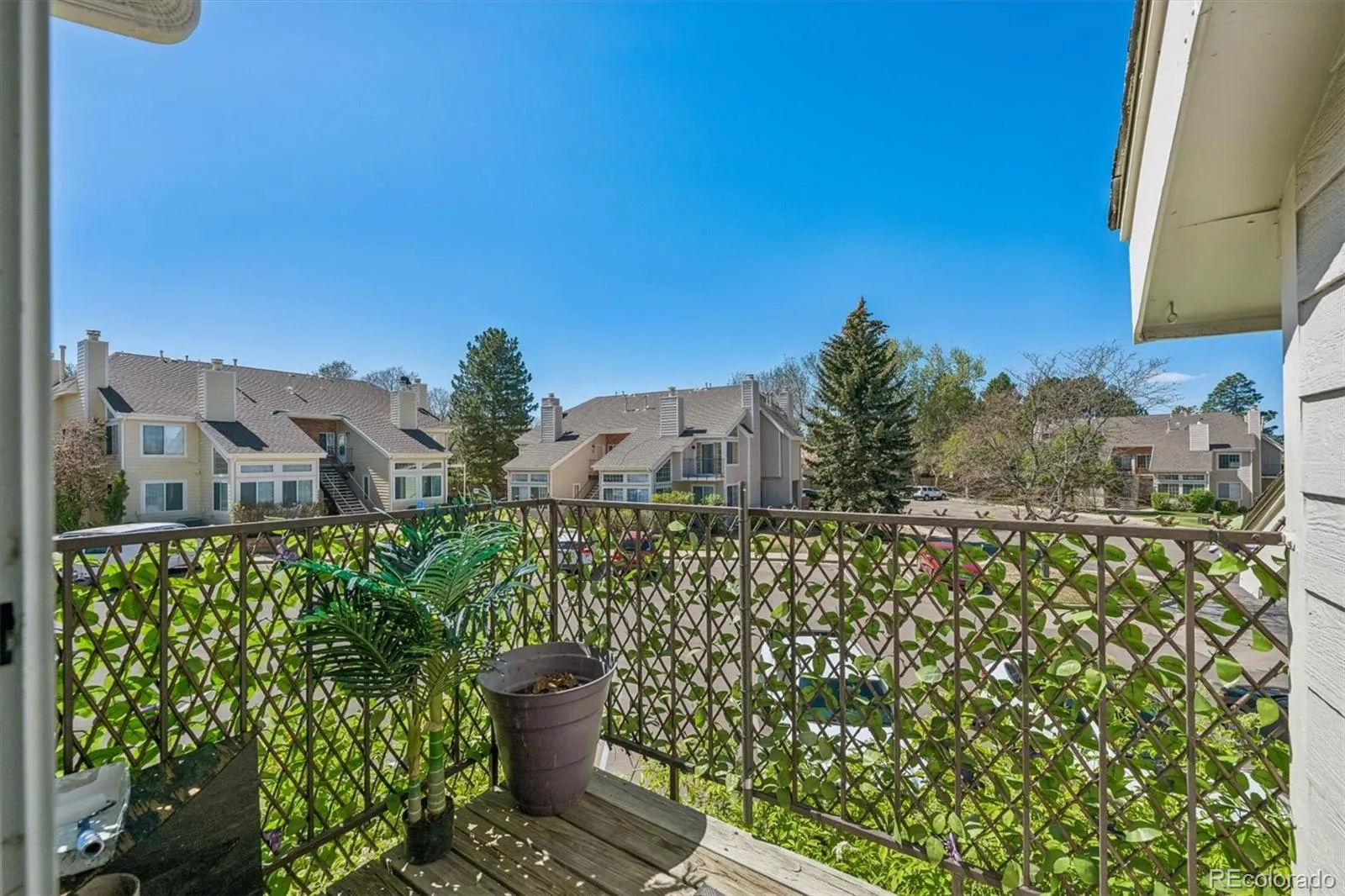 13732 E Lehigh Avenue #D Aurora CO 80014 MLS #REC7357138 05022026053515 1600 21