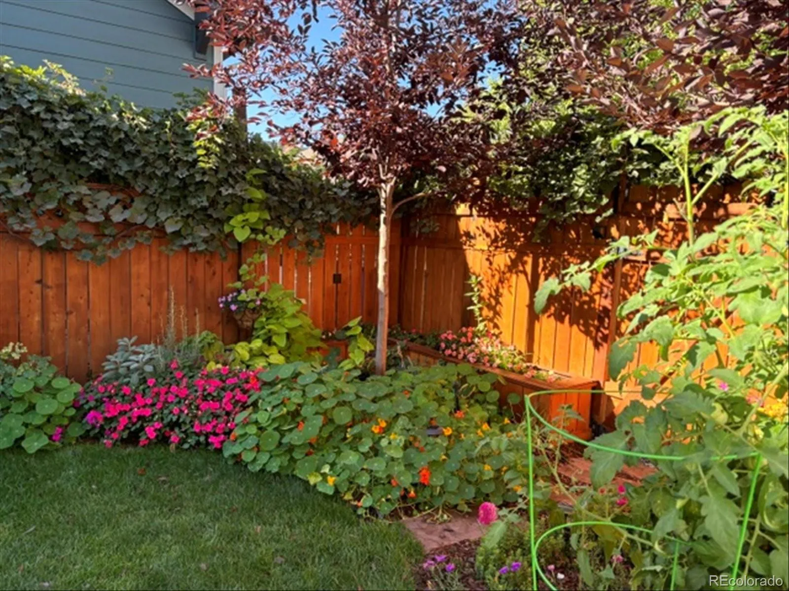 04162026221213 1600 35