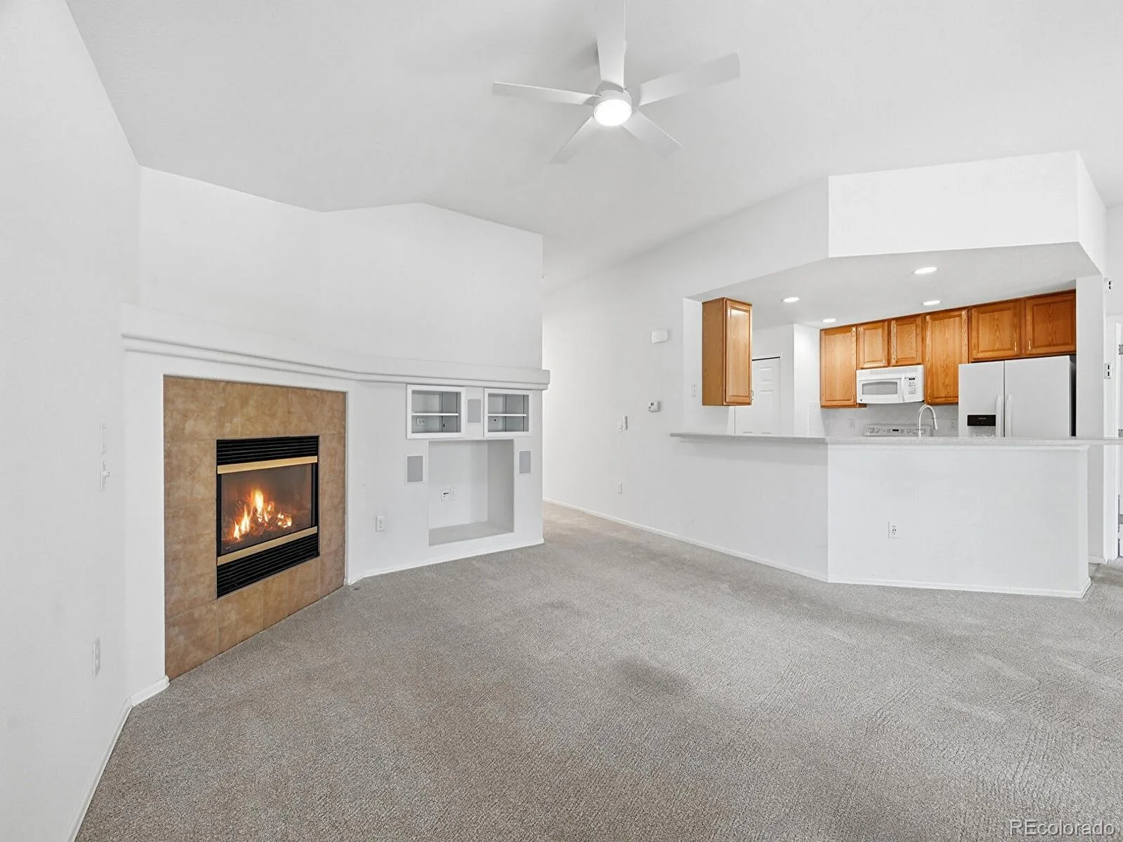 8219 S Winnipeg Court Aurora CO 80016 | MLS #REC7372125 07032026180426 1600 10