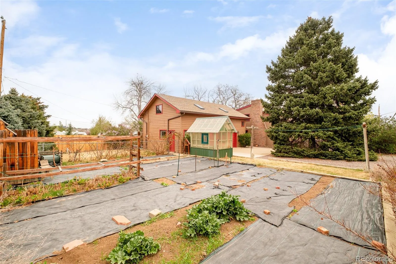 815 Vivian Street Lakewood CO 80401 MLS #REC7372466 06192026040634 1600 42