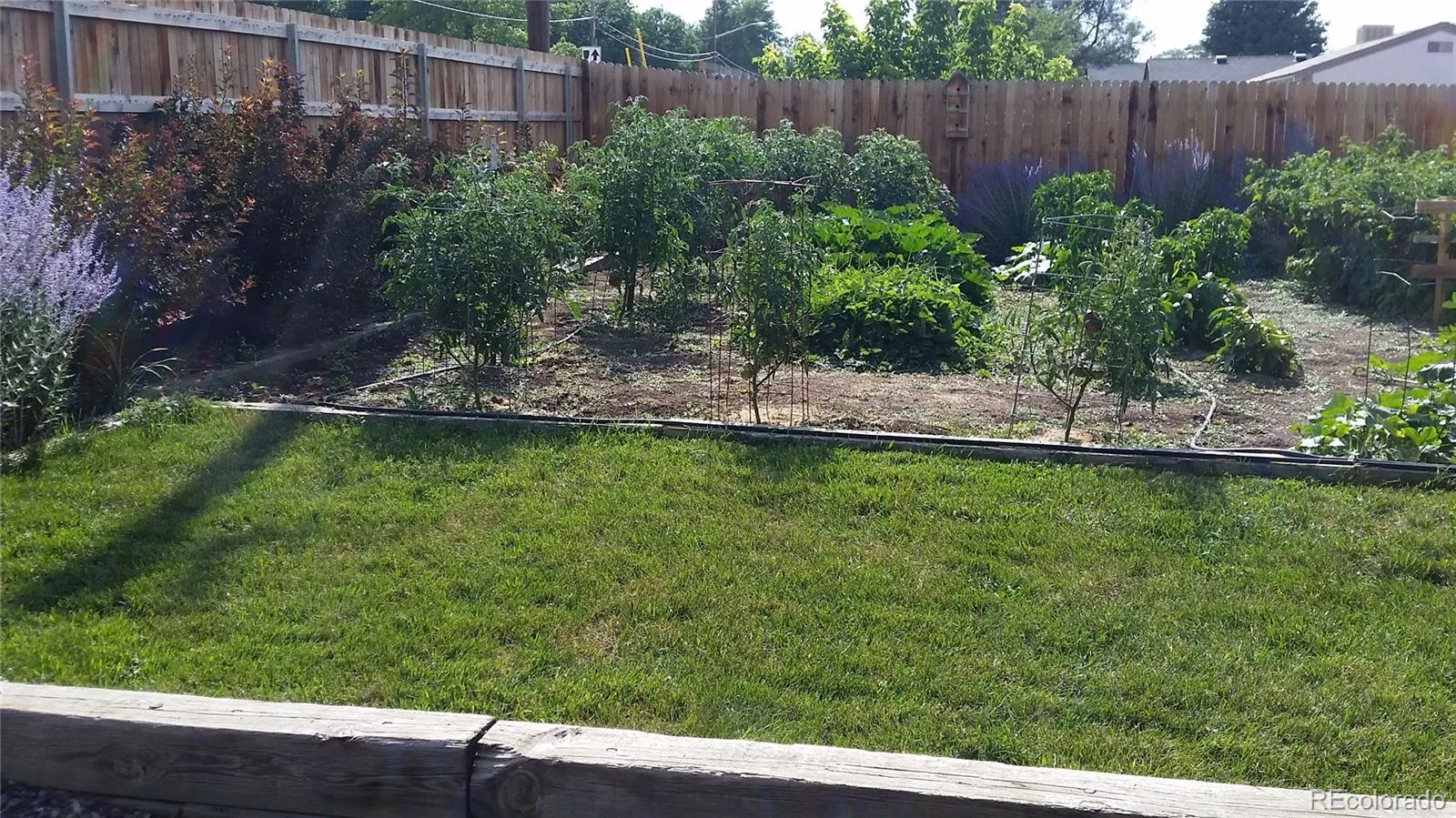 815 Vivian Street Lakewood CO 80401 MLS #REC7372466 06192026040634 1600 43