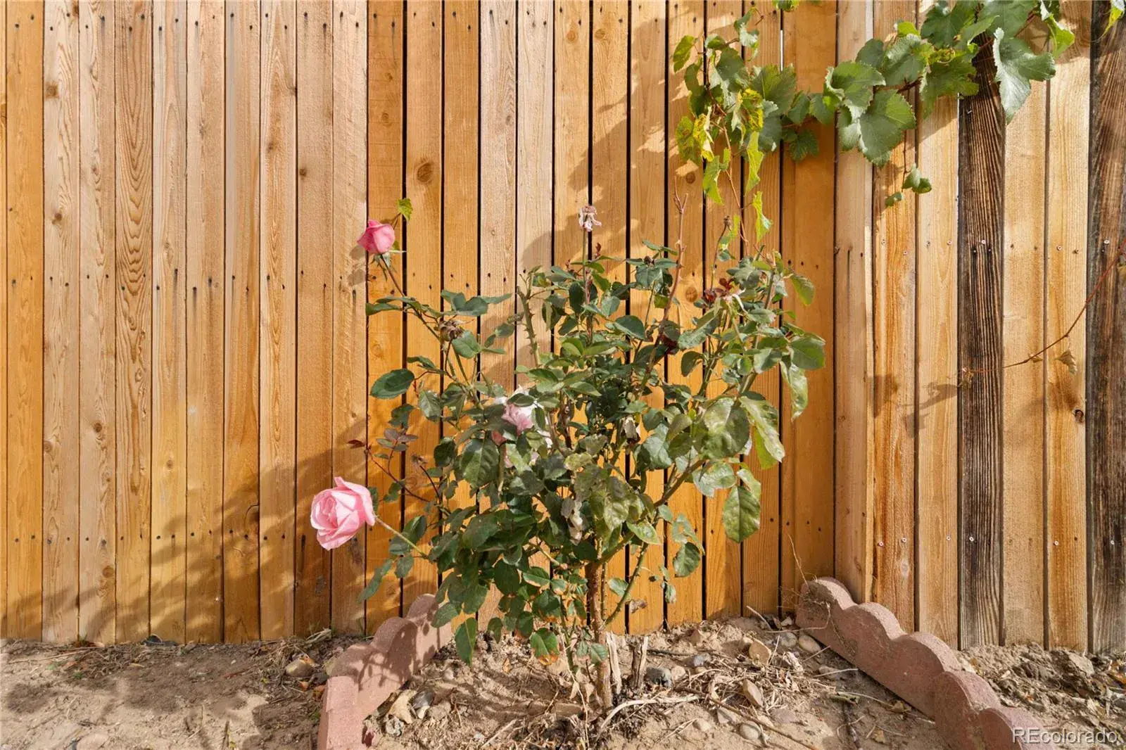 10302025023730 1600 40