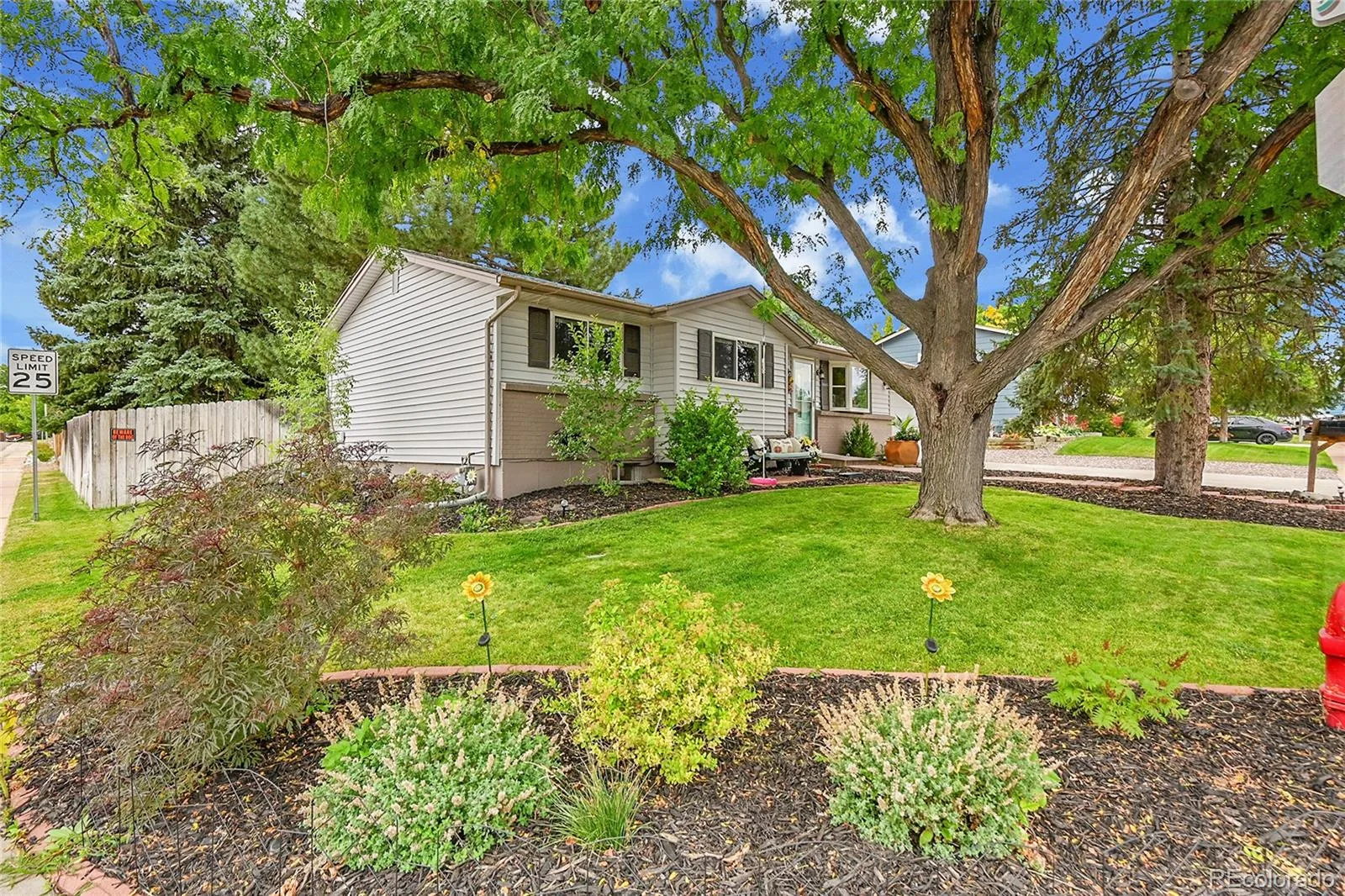 13564 Delphi Drive Lone Tree CO 80124 | MLS #REC7398912 08152026002650 1600 1