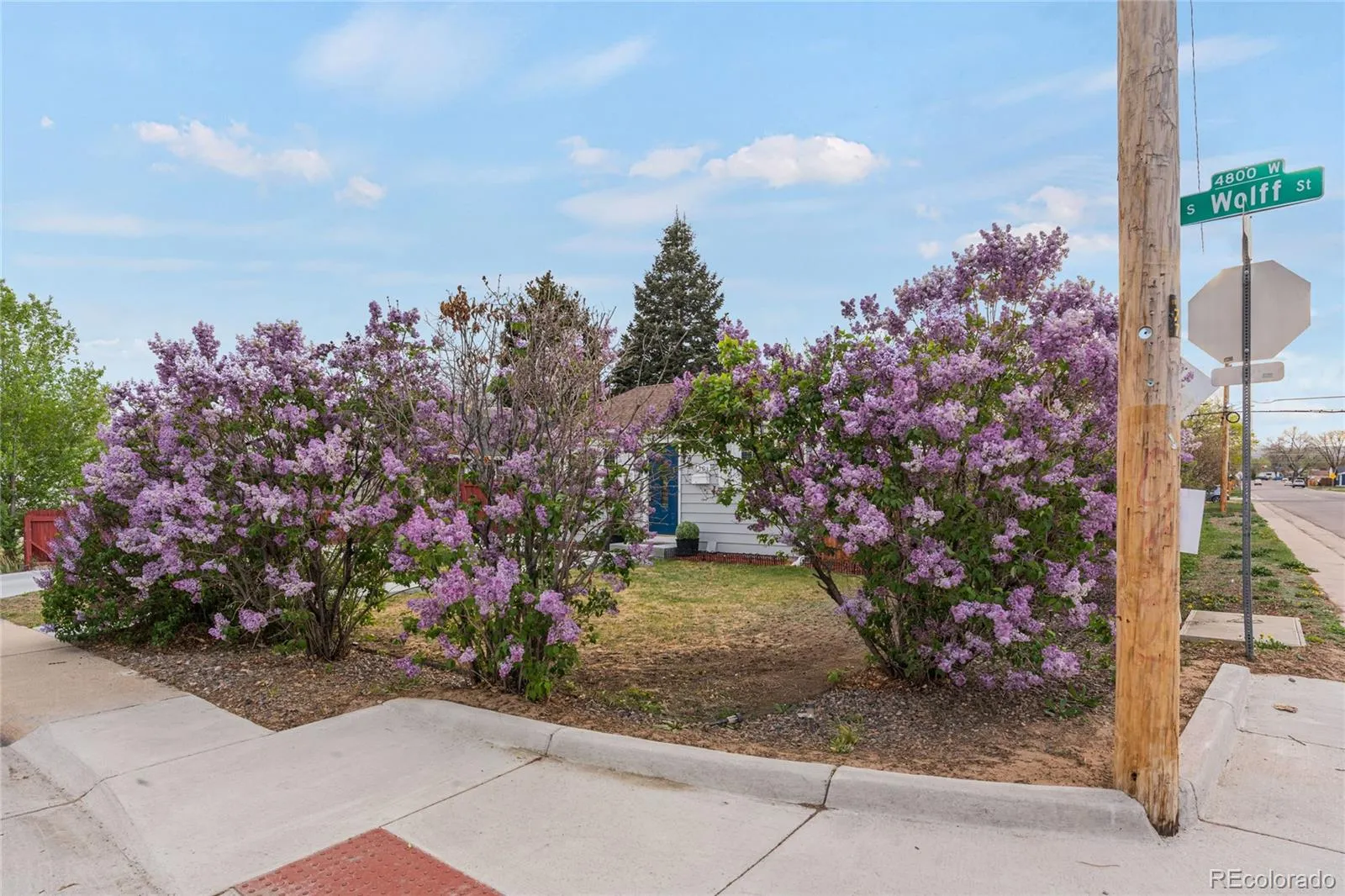 1301 S Wolff Street Denver CO 80219 MLS #REC7398989 04282026172433 1600 2