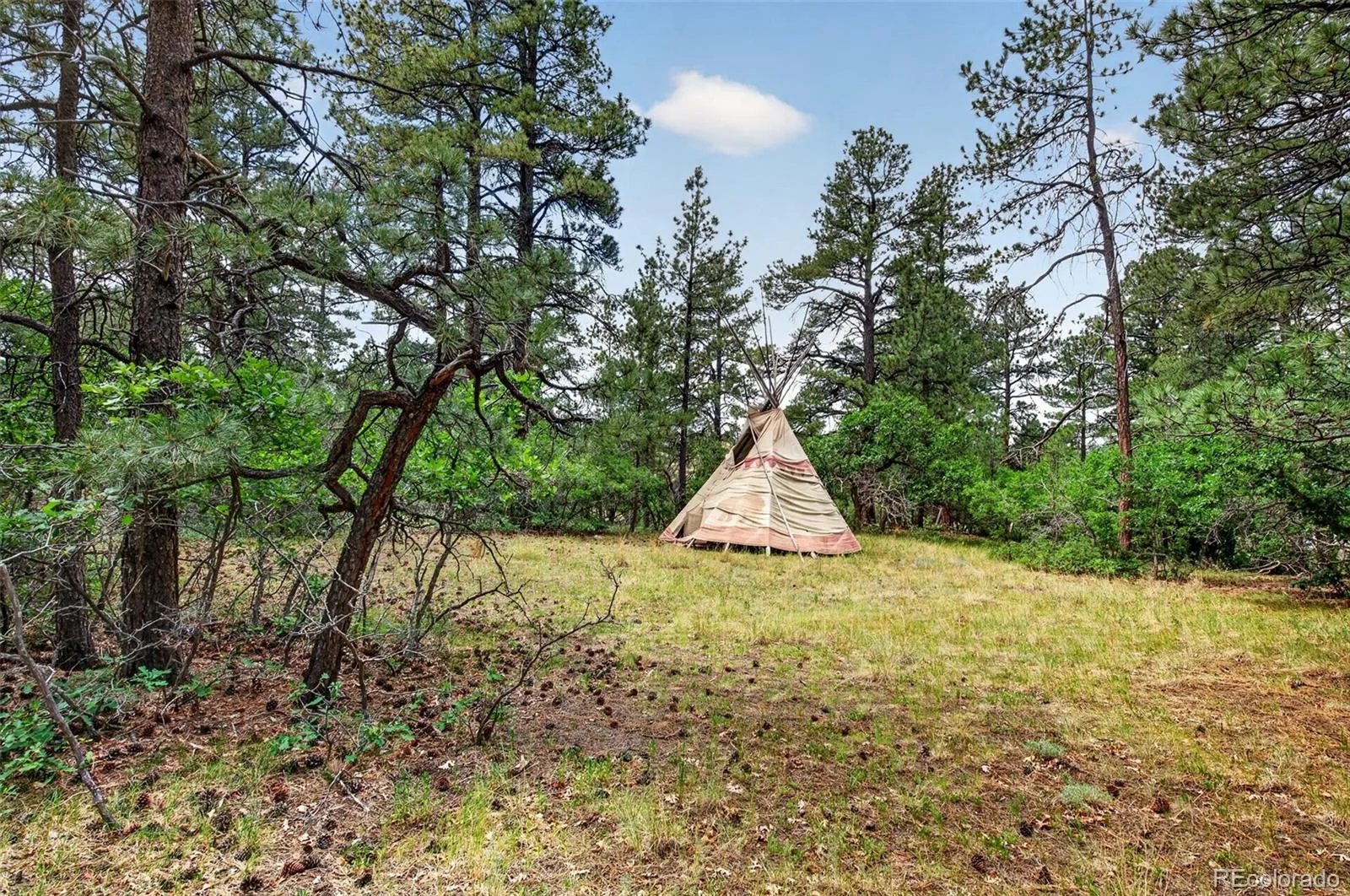 11934 E Buckhorn Way Franktown CO 80116 | MLS #REC7406442 07102026004005 1600 27