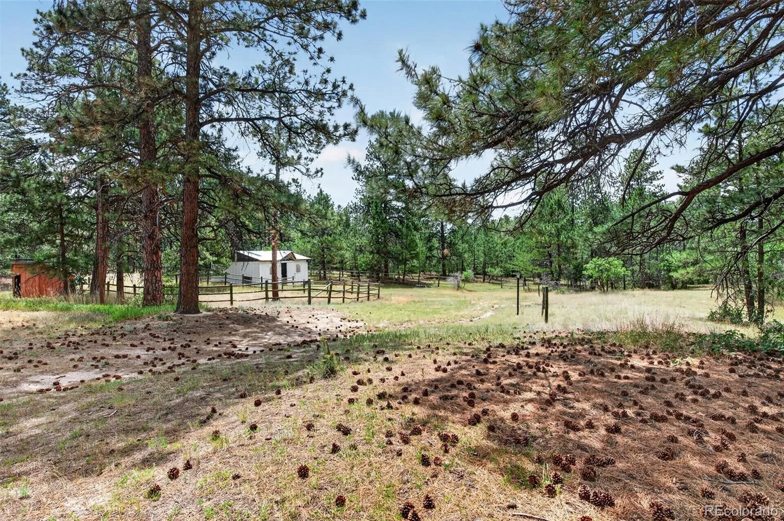 11934 E Buckhorn Way Franktown CO 80116 | MLS #REC7406442 07102026004005 1600 28