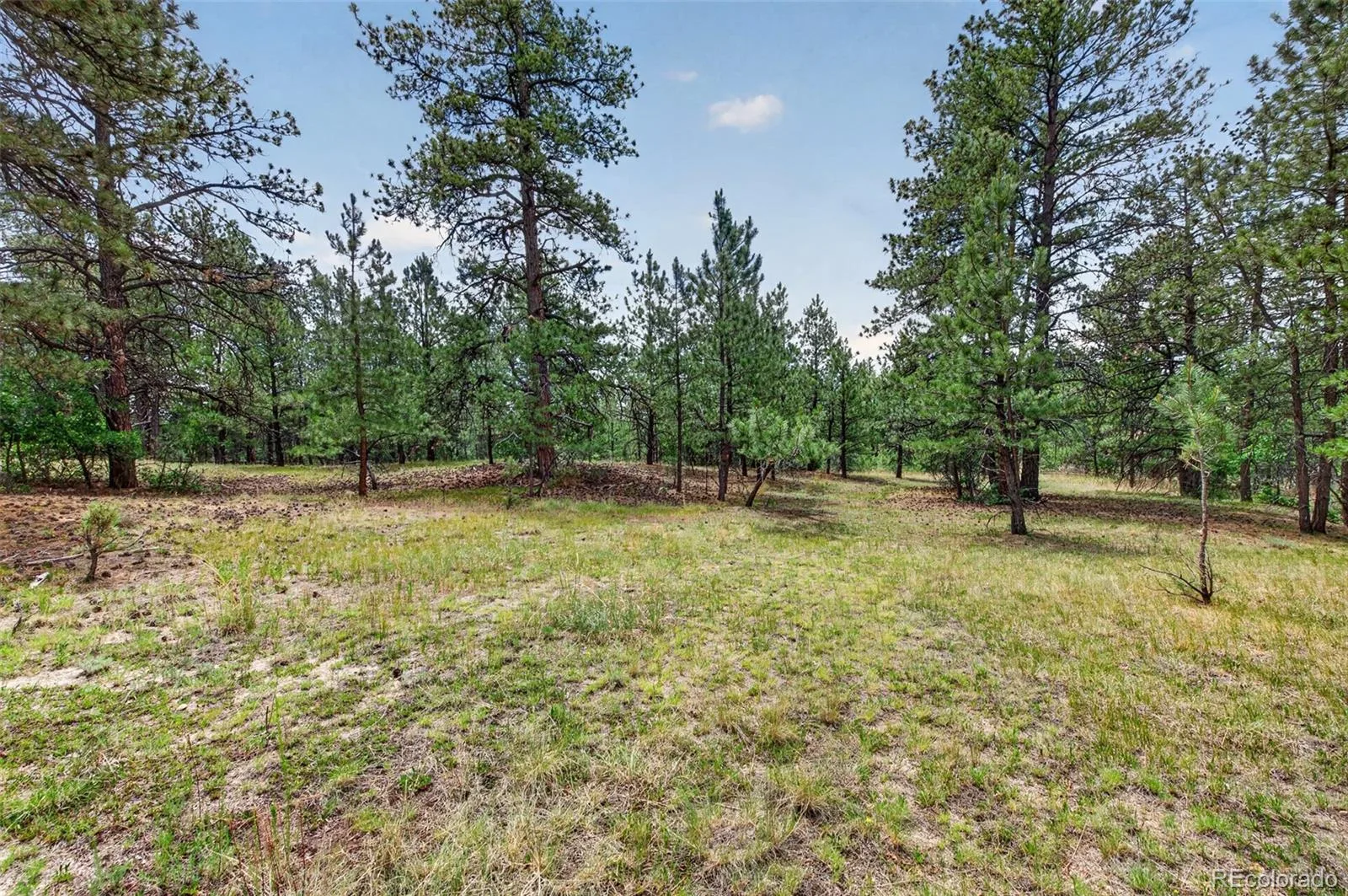 11934 E Buckhorn Way Franktown CO 80116 | MLS #REC7406442 07102026004005 1600 30