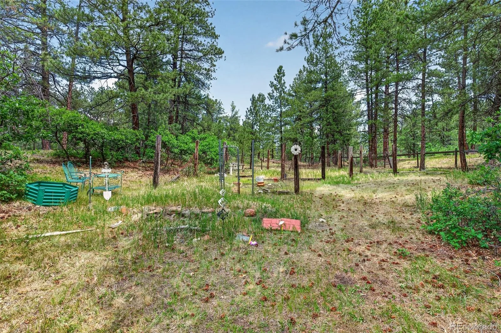 11934 E Buckhorn Way Franktown CO 80116 | MLS #REC7406442 07102026004005 1600 37