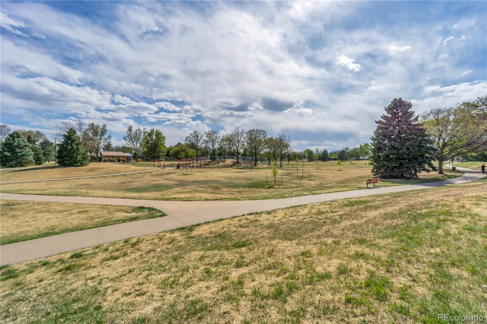 31 Jay Street Lakewood CO 80226 MLS #REC7409824 04242026165106 1600 43