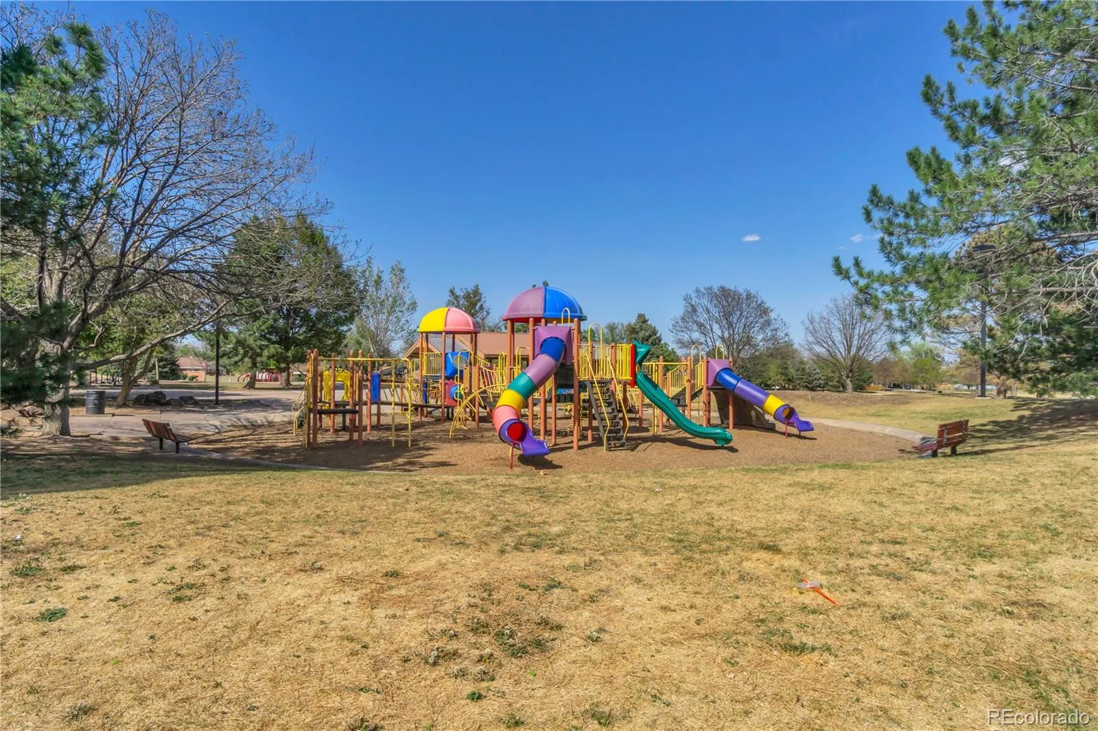 31 Jay Street Lakewood CO 80226 MLS #REC7409824 04242026165106 1600 44