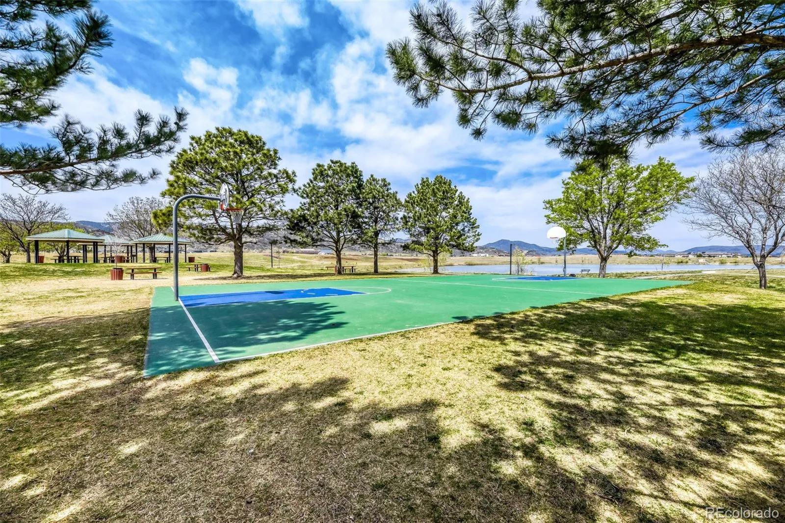 6285 S Van Gordon Way Littleton CO 80127 MLS #REC7413128 05032026203734 1600 36