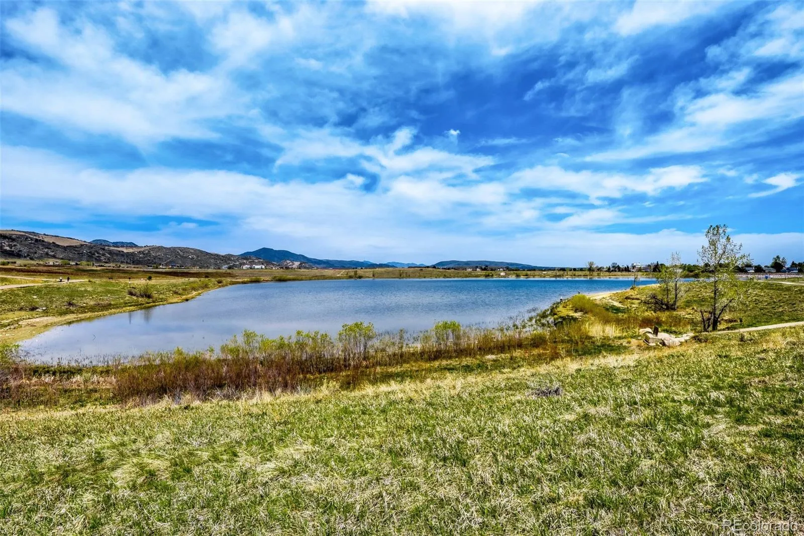 6285 S Van Gordon Way Littleton CO 80127 MLS #REC7413128 05032026203734 1600 38