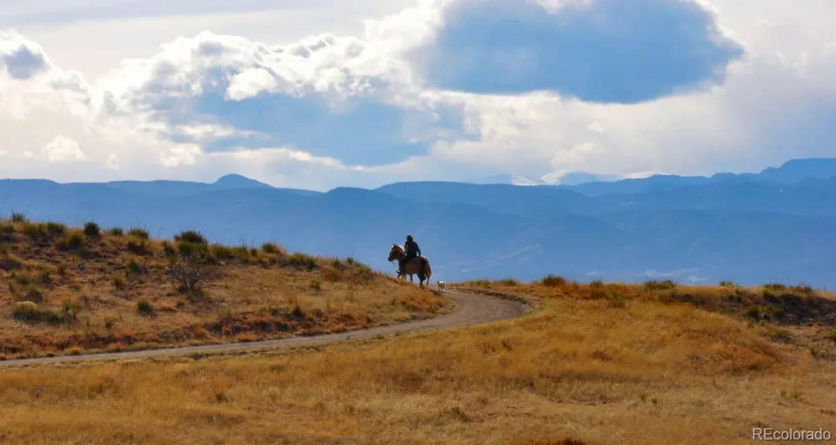 03292026210148 1200 45