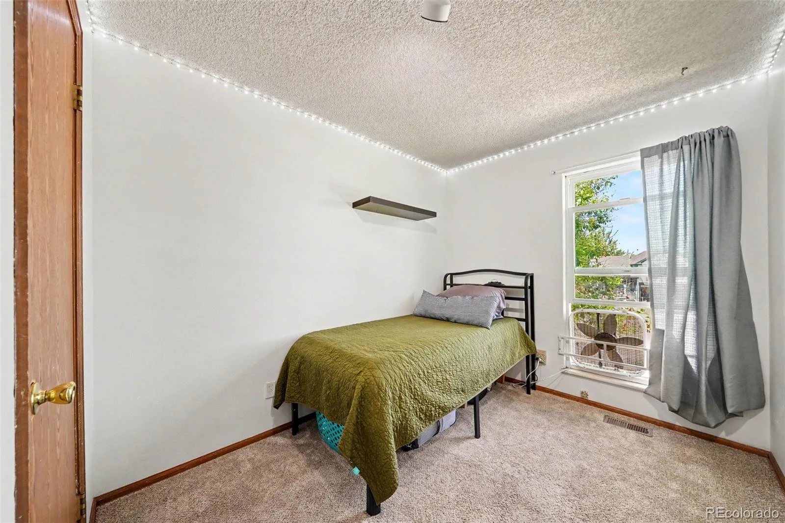 1065 S Lindsey Street Castle Rock CO 80104 | MLS #REC7417403 07072026200601 1600 9