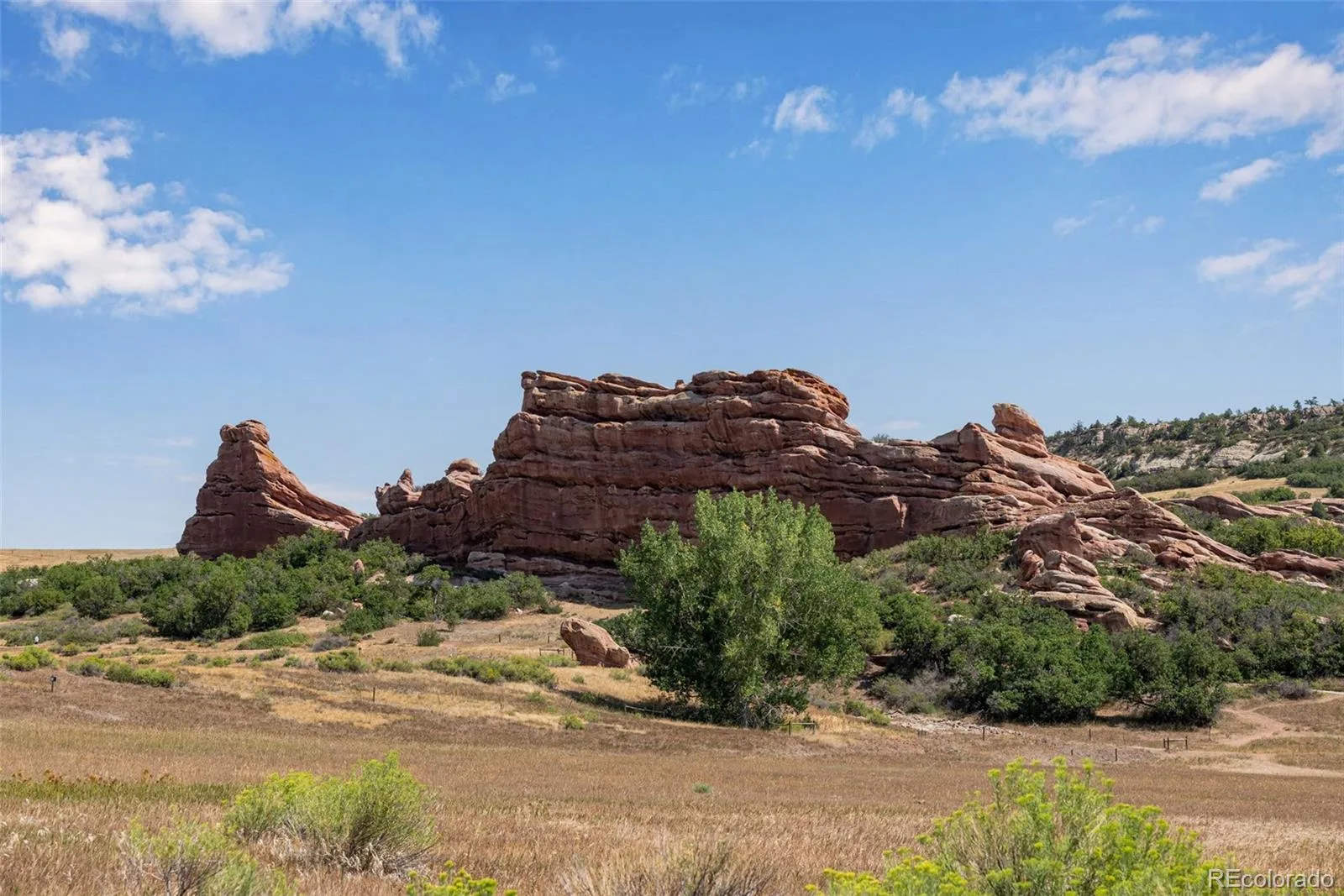 10690 S Deer Creek Road Littleton CO 80127 | MLS #REC7419220 08162026050853 1600 10