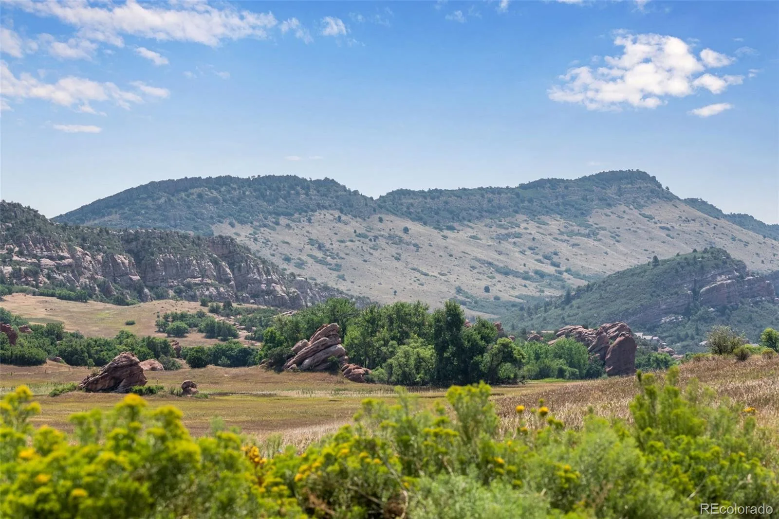 10690 S Deer Creek Road Littleton CO 80127 | MLS #REC7419220 08162026050853 1600 24