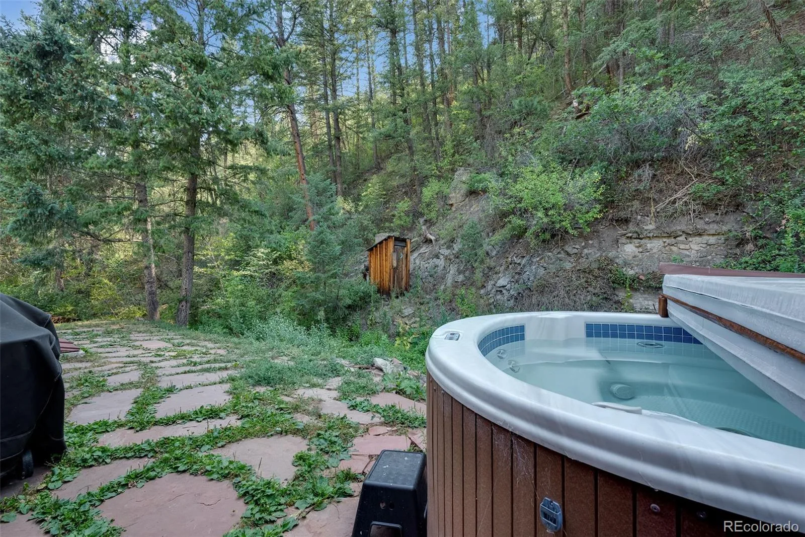 10690 S Deer Creek Road Littleton CO 80127 | MLS #REC7419220 08162026050853 1600 5