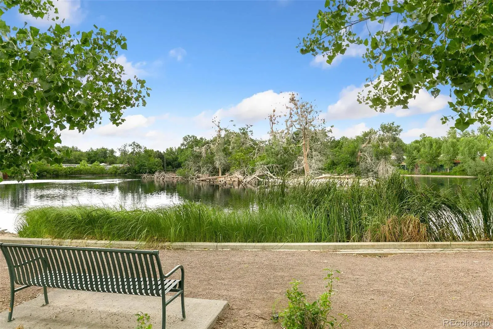 12112025222137 1600 39