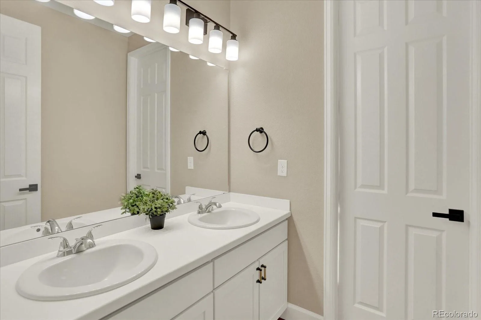 6917 Mentha Drive Castle Rock CO 80108 | MLS #REC7421006 08142026005402 1600 23