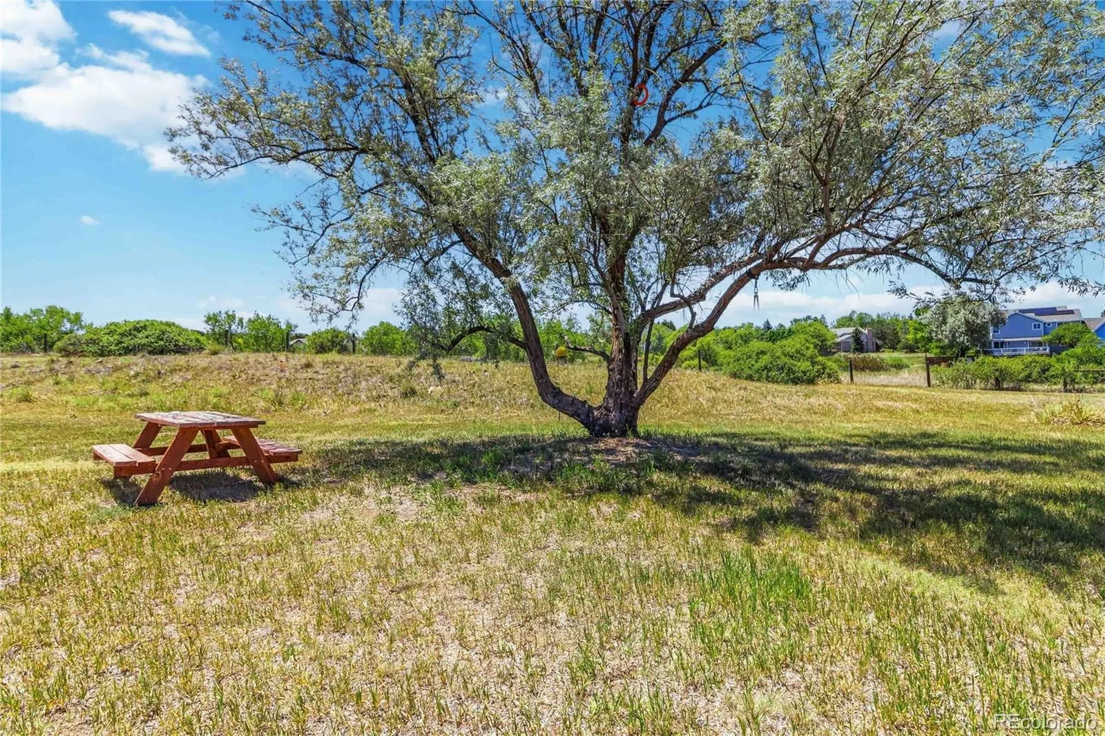 7289 S Ireland Way Centennial CO 80016 MLS #REC7424028 06132026214354 1600 38