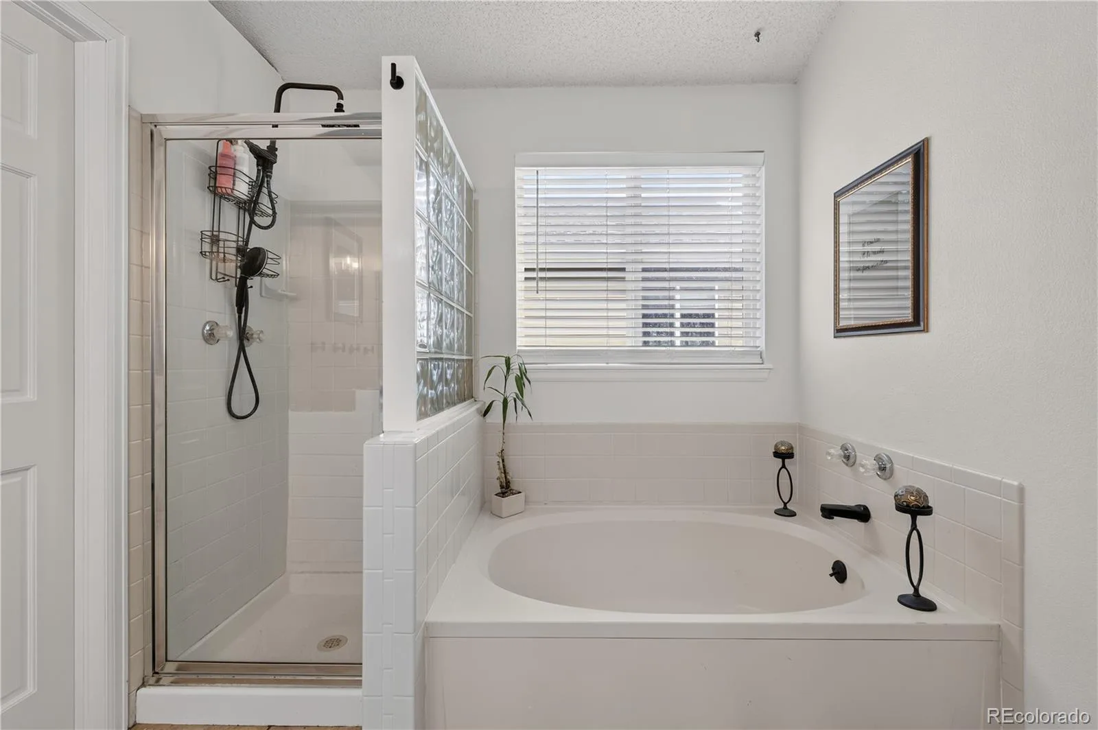 11317 Vernon Way Parker CO 80134 | MLS #REC7425782 08282026144615 1600 19