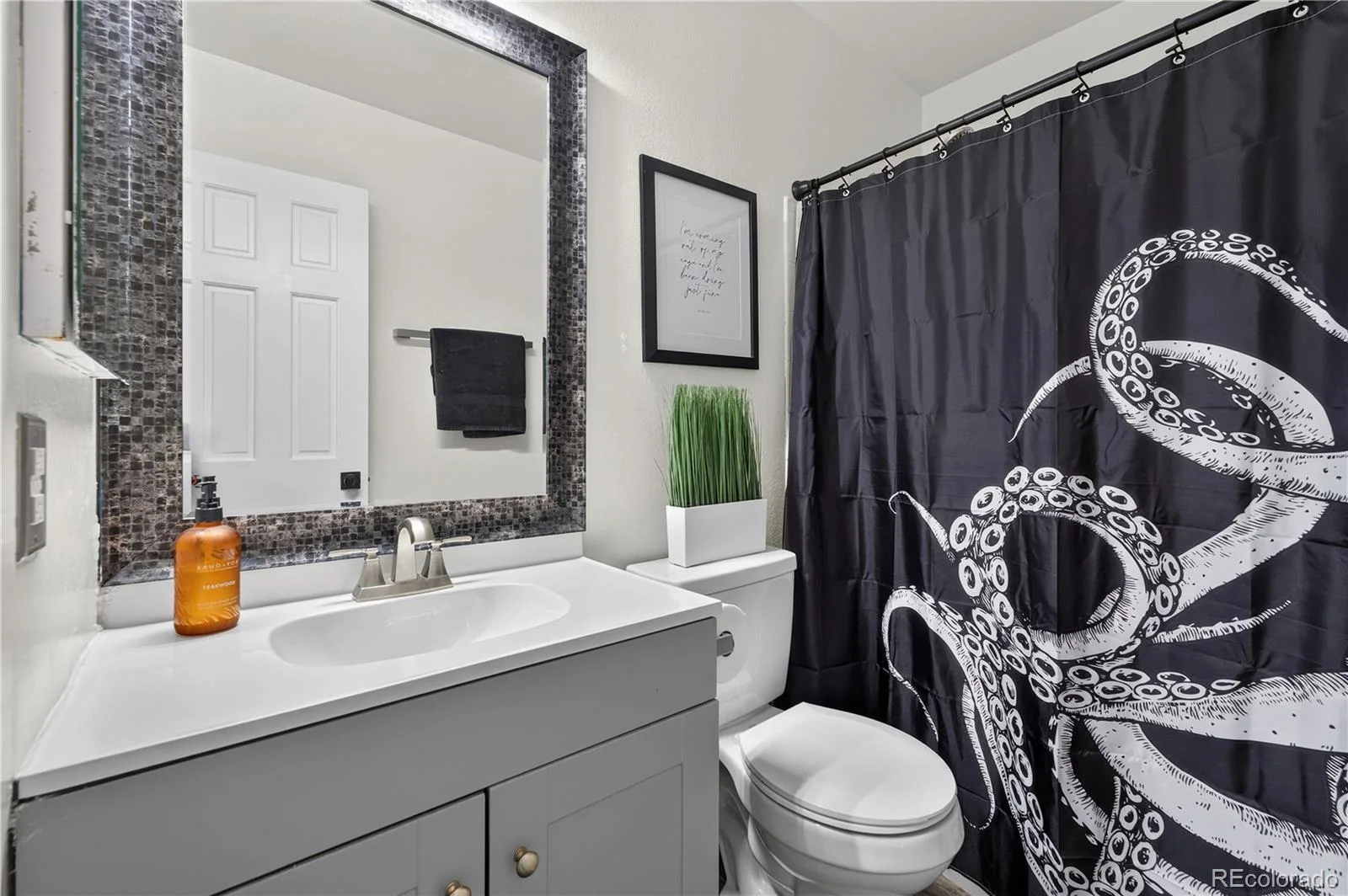 11317 Vernon Way Parker CO 80134 | MLS #REC7425782 08282026144615 1600 24