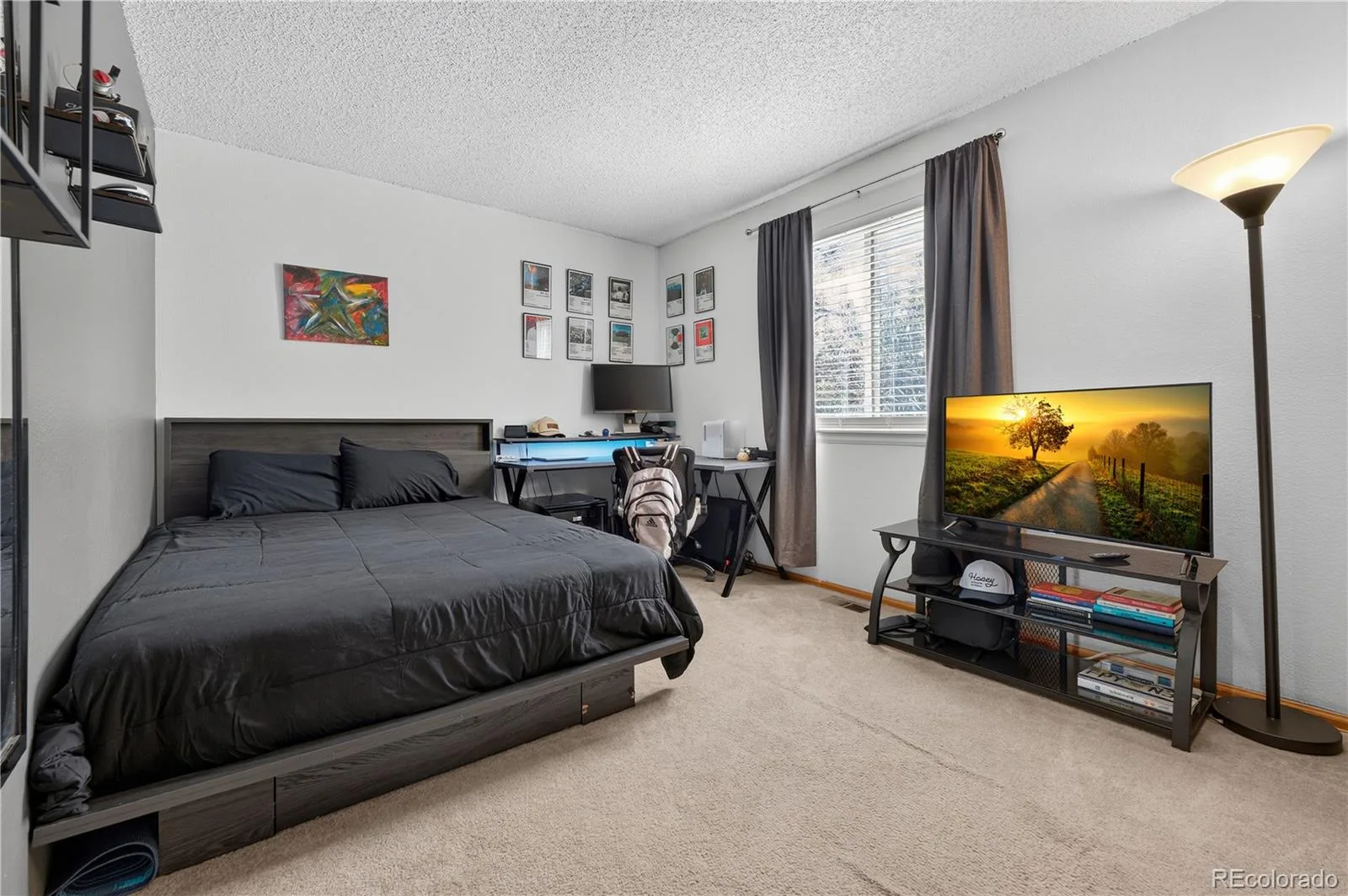 11317 Vernon Way Parker CO 80134 | MLS #REC7425782 08282026144615 1600 25