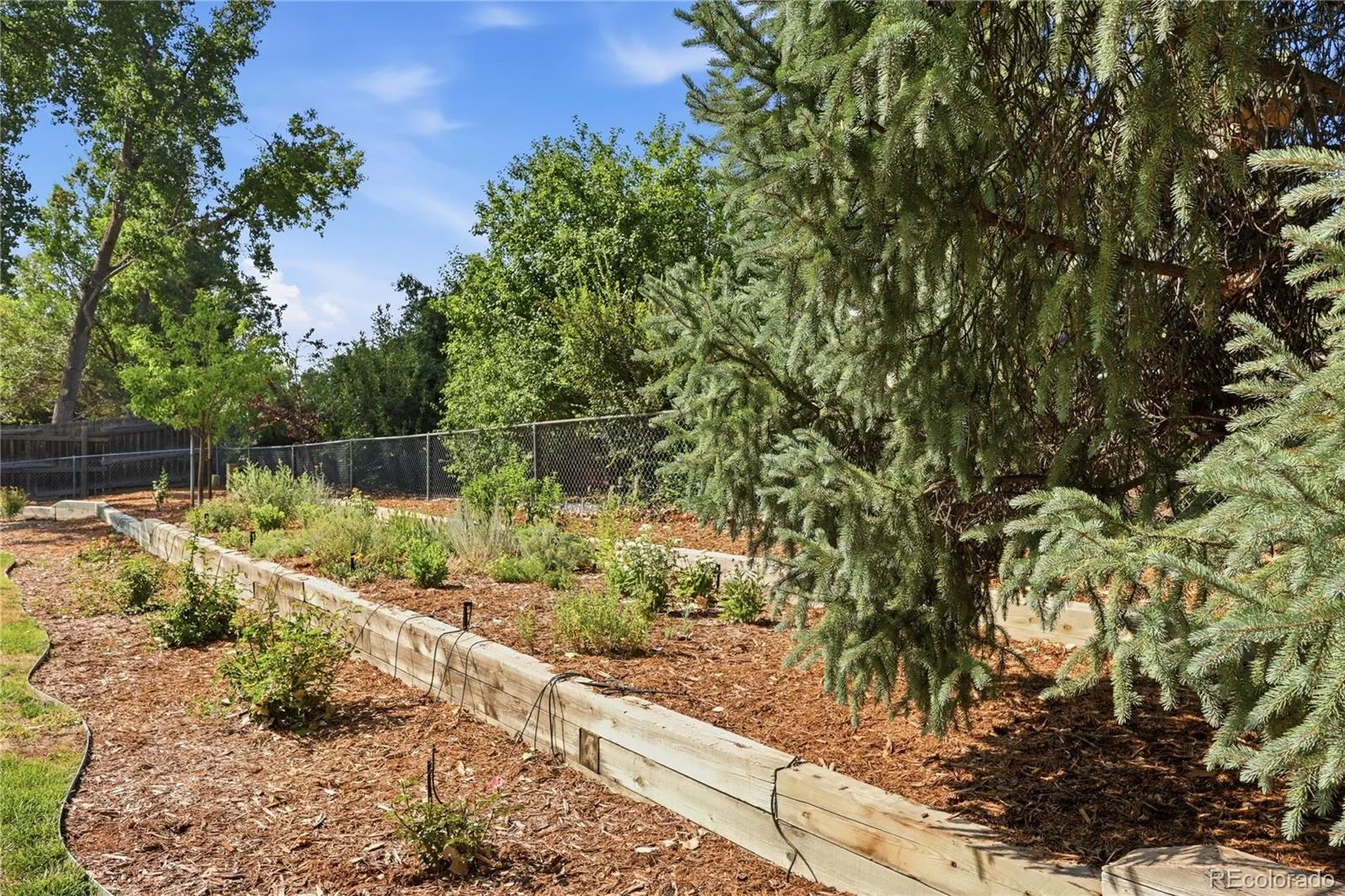 5255 Camargo Road Littleton CO 80123 | MLS #REC7428253 08072026022415 1600 38