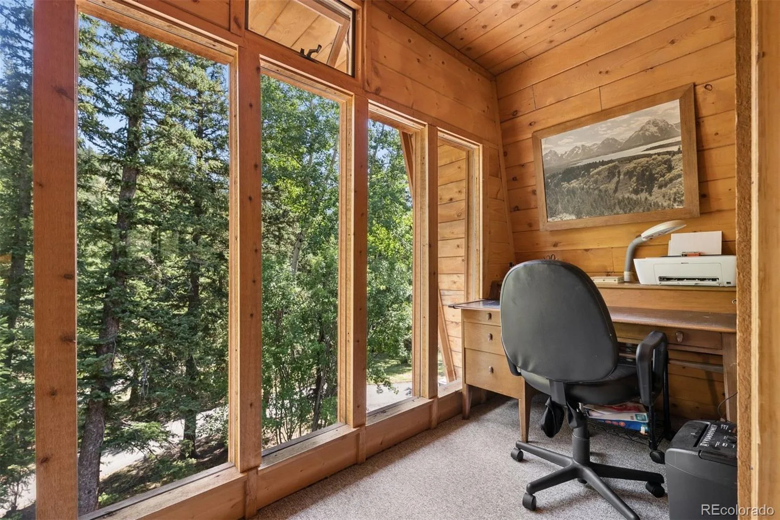 2667 Witter Gulch Road Evergreen CO 80439 | MLS #REC7439756 07282026131552 1600 17