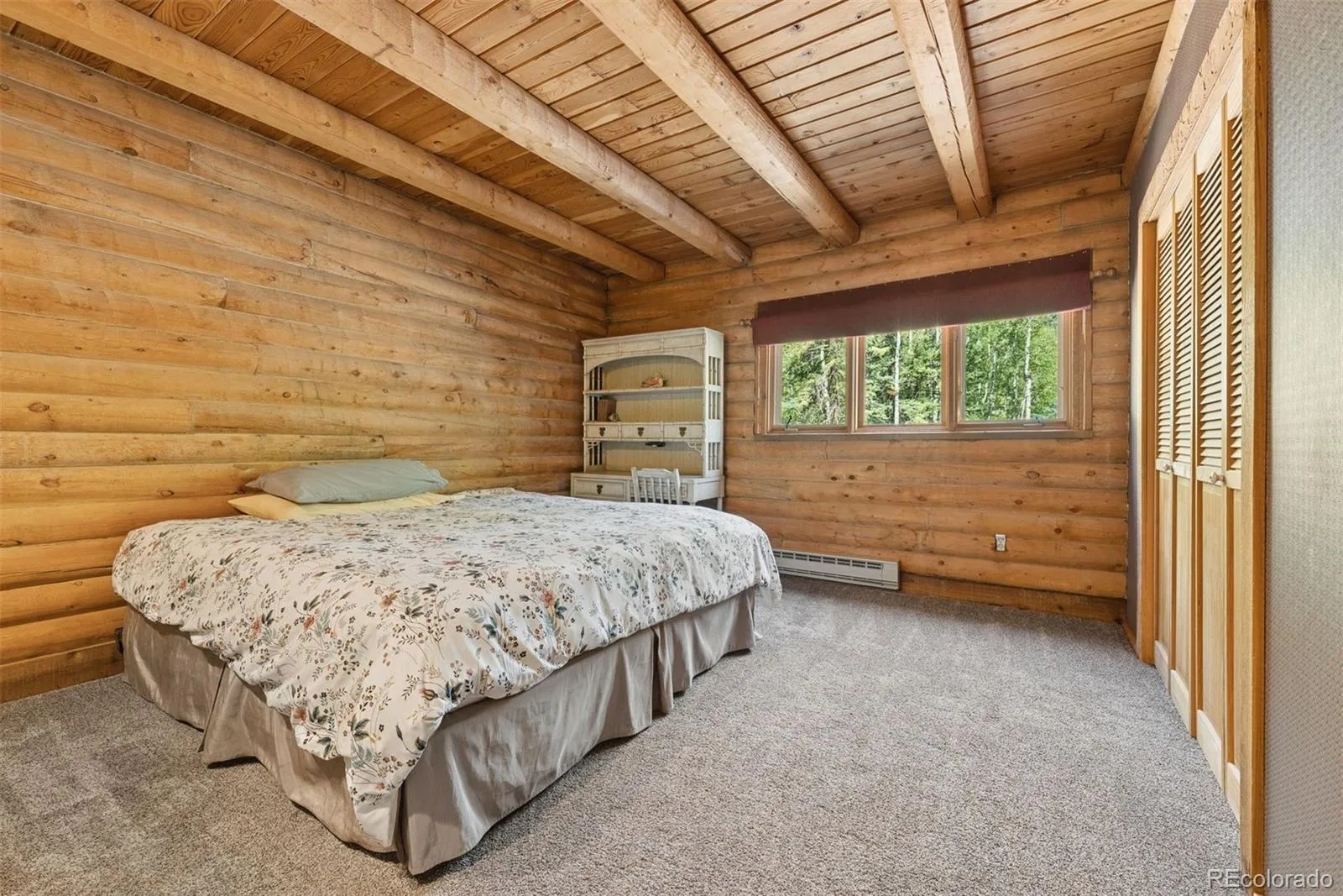 2667 Witter Gulch Road Evergreen CO 80439 | MLS #REC7439756 07282026131552 1600 22