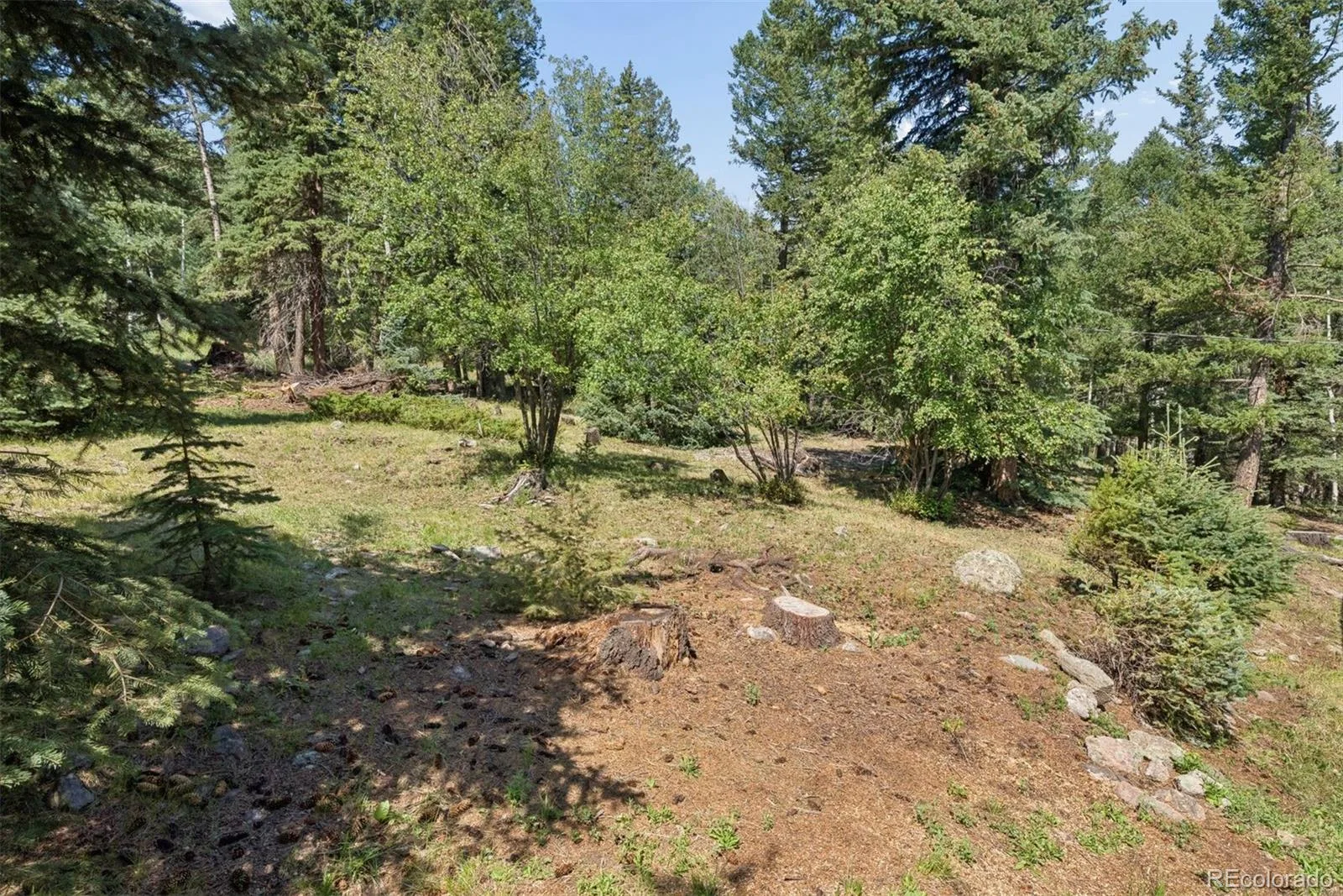2667 Witter Gulch Road Evergreen CO 80439 | MLS #REC7439756 07282026131552 1600 36