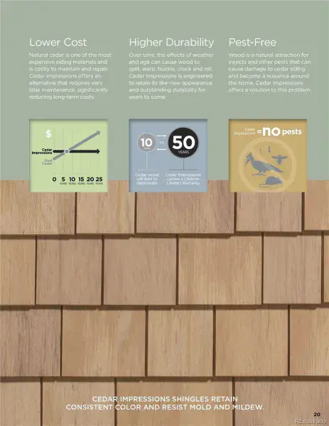 02092026195021 800 8