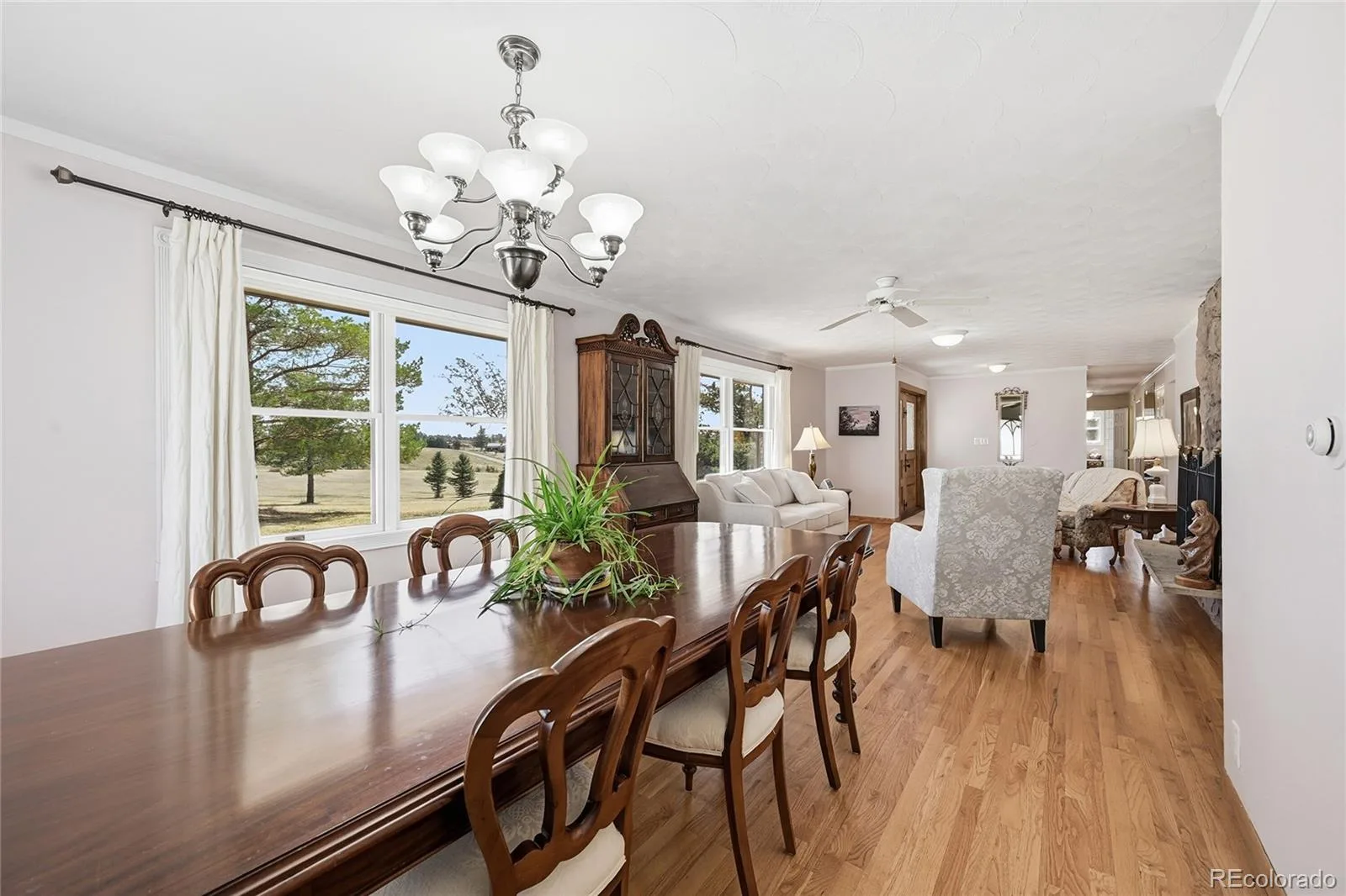 11481 Antelope Lane Parker CO 80138 | MLS #REC7445180 08222026025535 1600 16