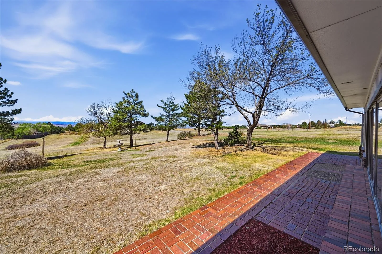 11481 Antelope Lane Parker CO 80138 | MLS #REC7445180 08222026025535 1600 7