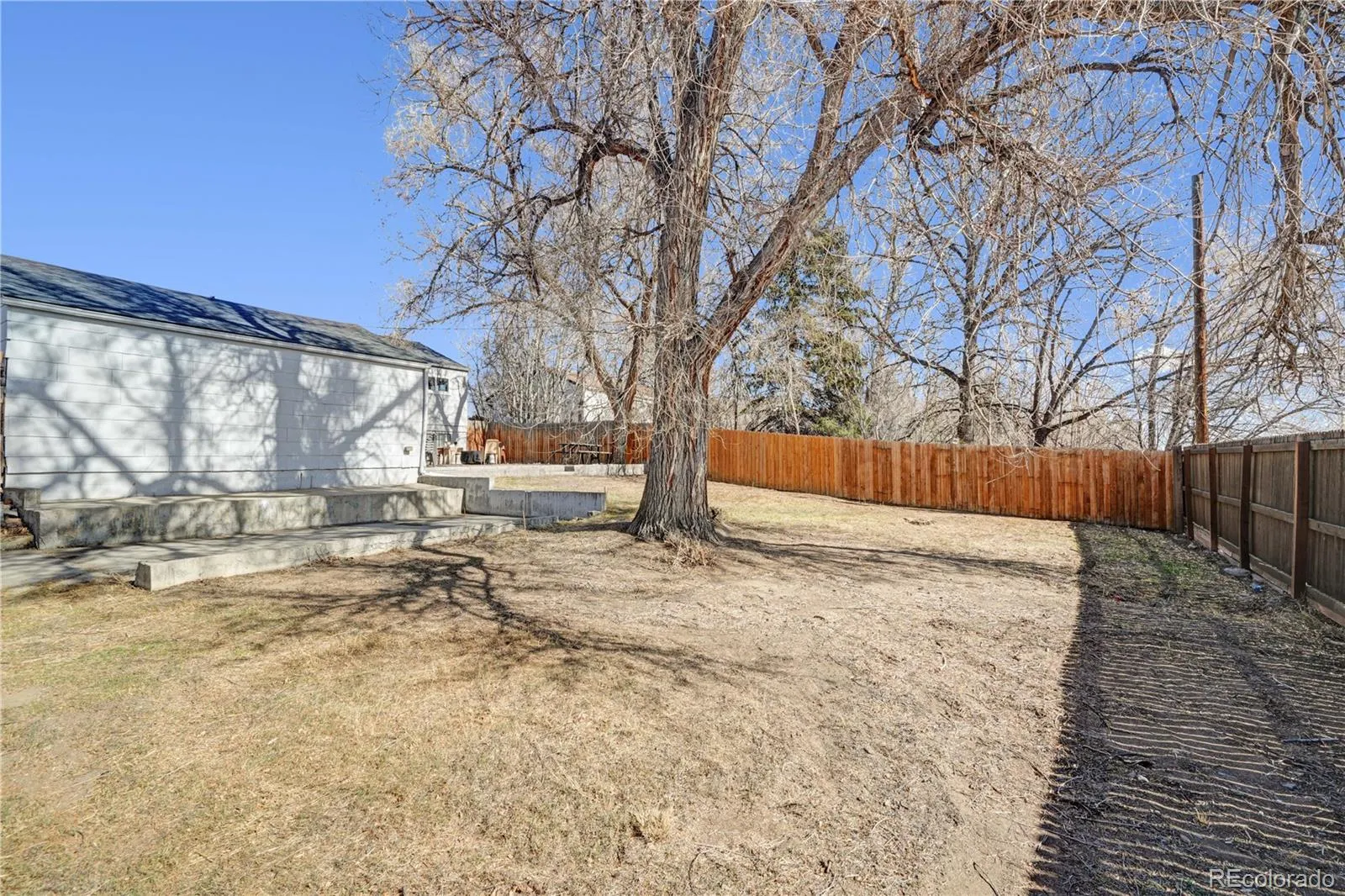 04092026035249 1600 20