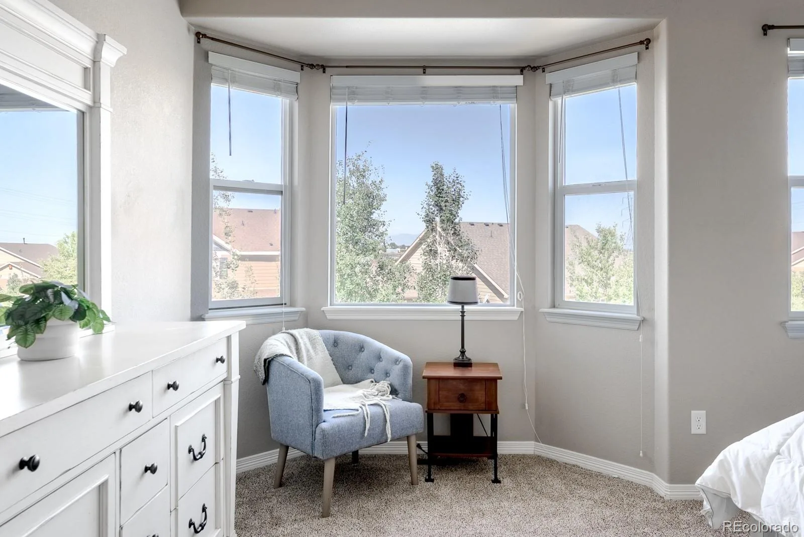 10293 Nucla Street Commerce City CO 80022 MLS #REC7452367 07152026164648 1600 19