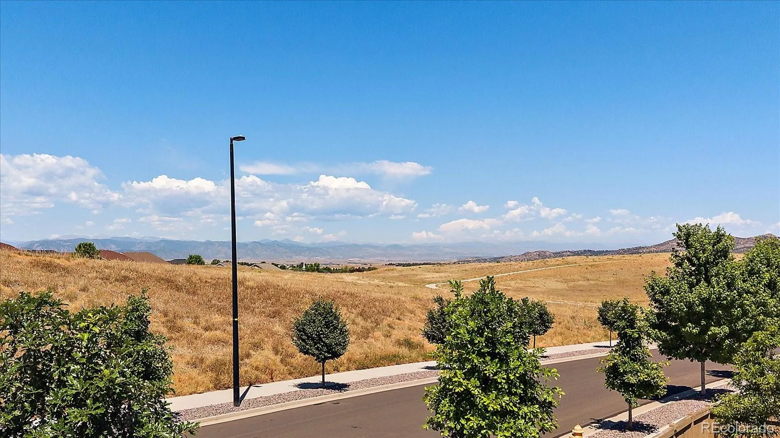 3341 Greenery Drive Castle Rock CO 80109 MLS #REC7458557 07172026234327 1600 40