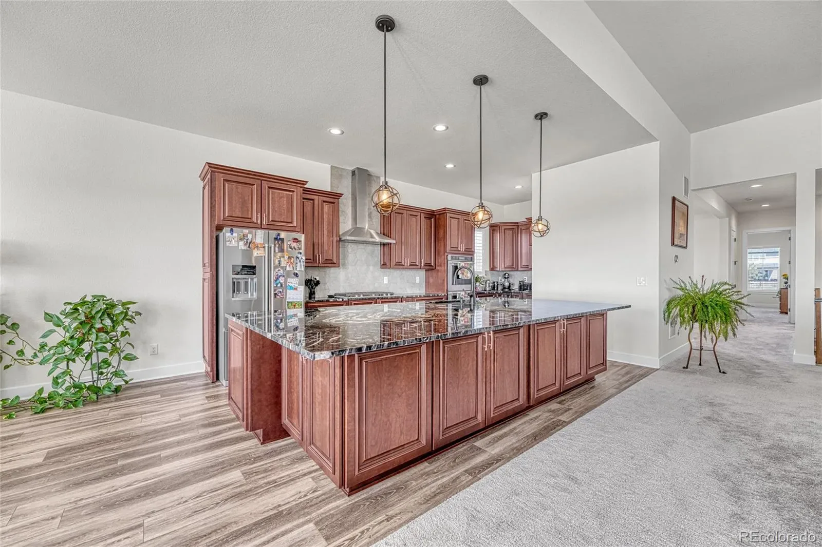 3656 Backslope Lane Castle Rock CO 80108 MLS #REC7468438 03302026143724 1600 10
