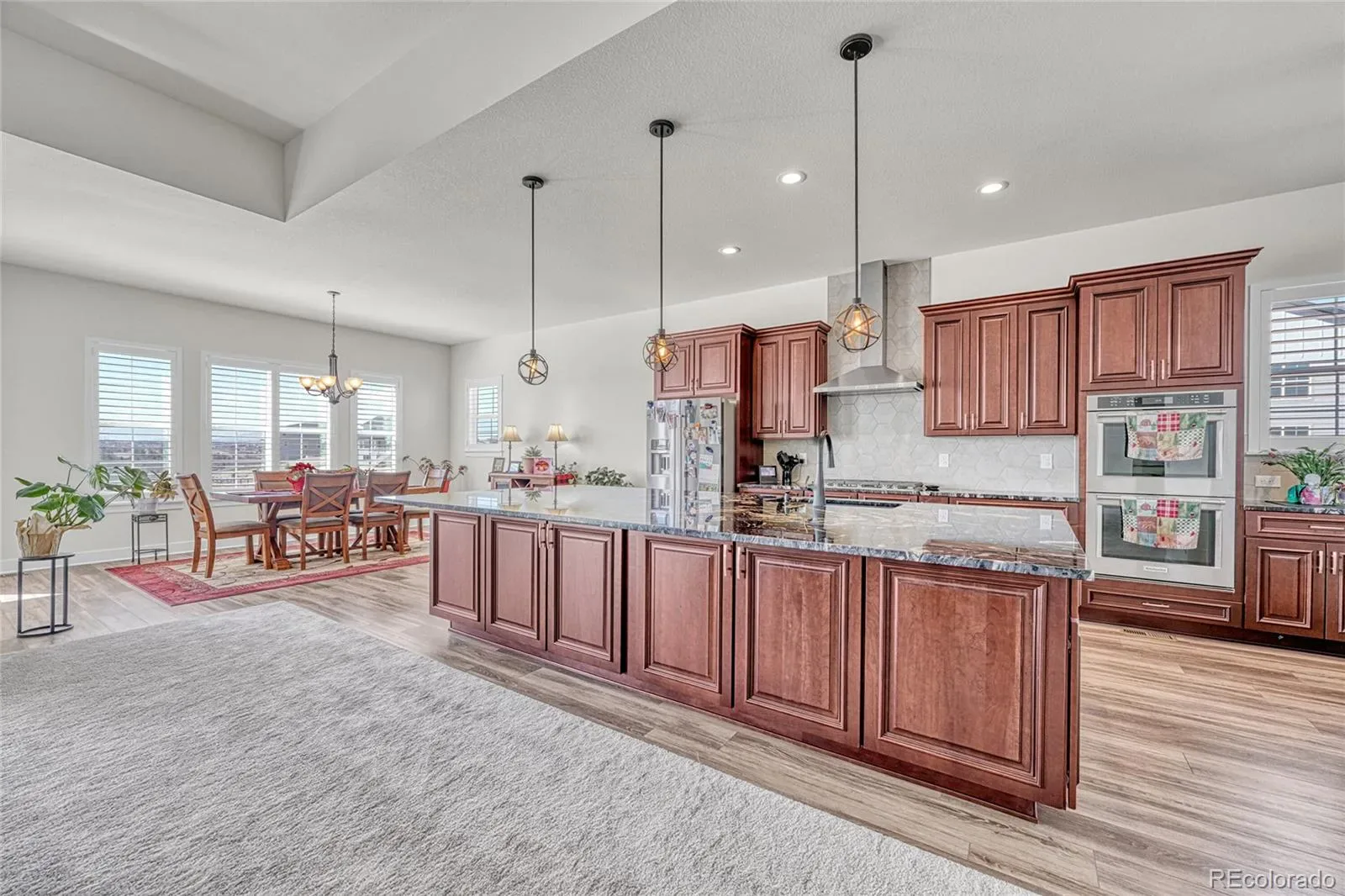 3656 Backslope Lane Castle Rock CO 80108 MLS #REC7468438 03302026143724 1600 9