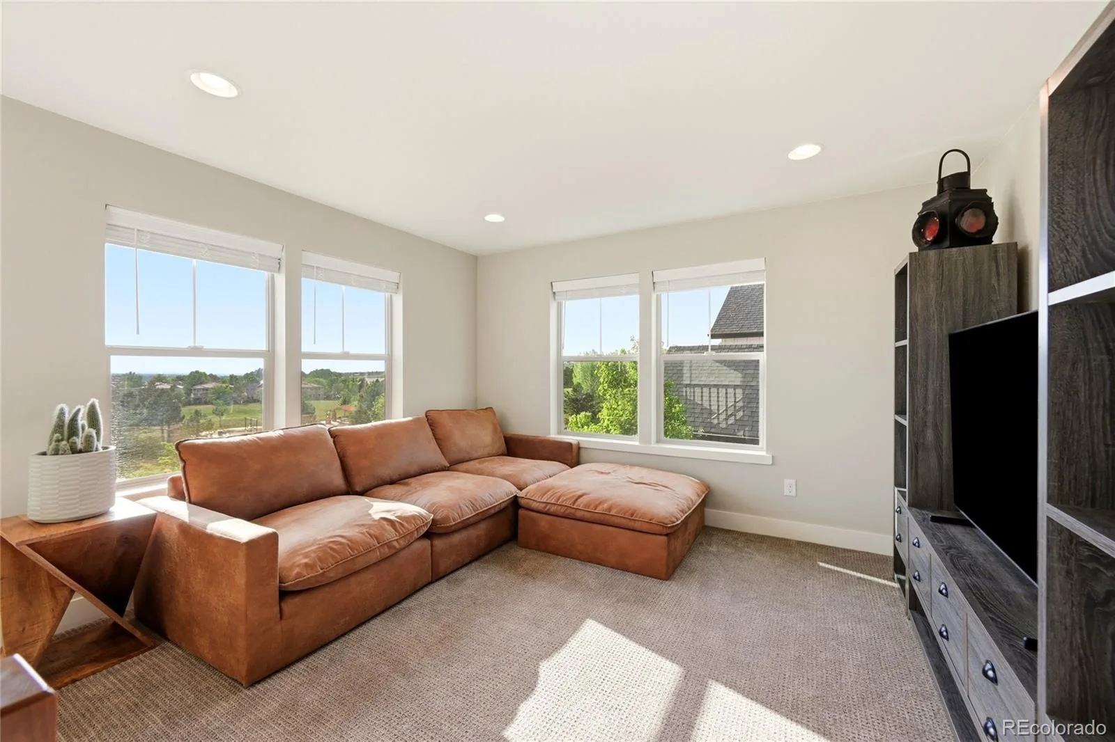7029 S Buchanan Street Aurora CO 80016 MLS #REC7471429 06152026193637 1600 19