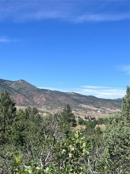 6031 Country Club Drive Larkspur CO 80118 | MLS #REC7501247 09122026083934 800 13